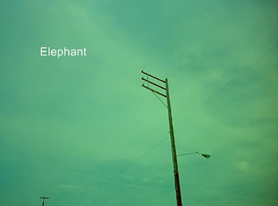 Spatial and temporal disconnect: Elephant (2003)