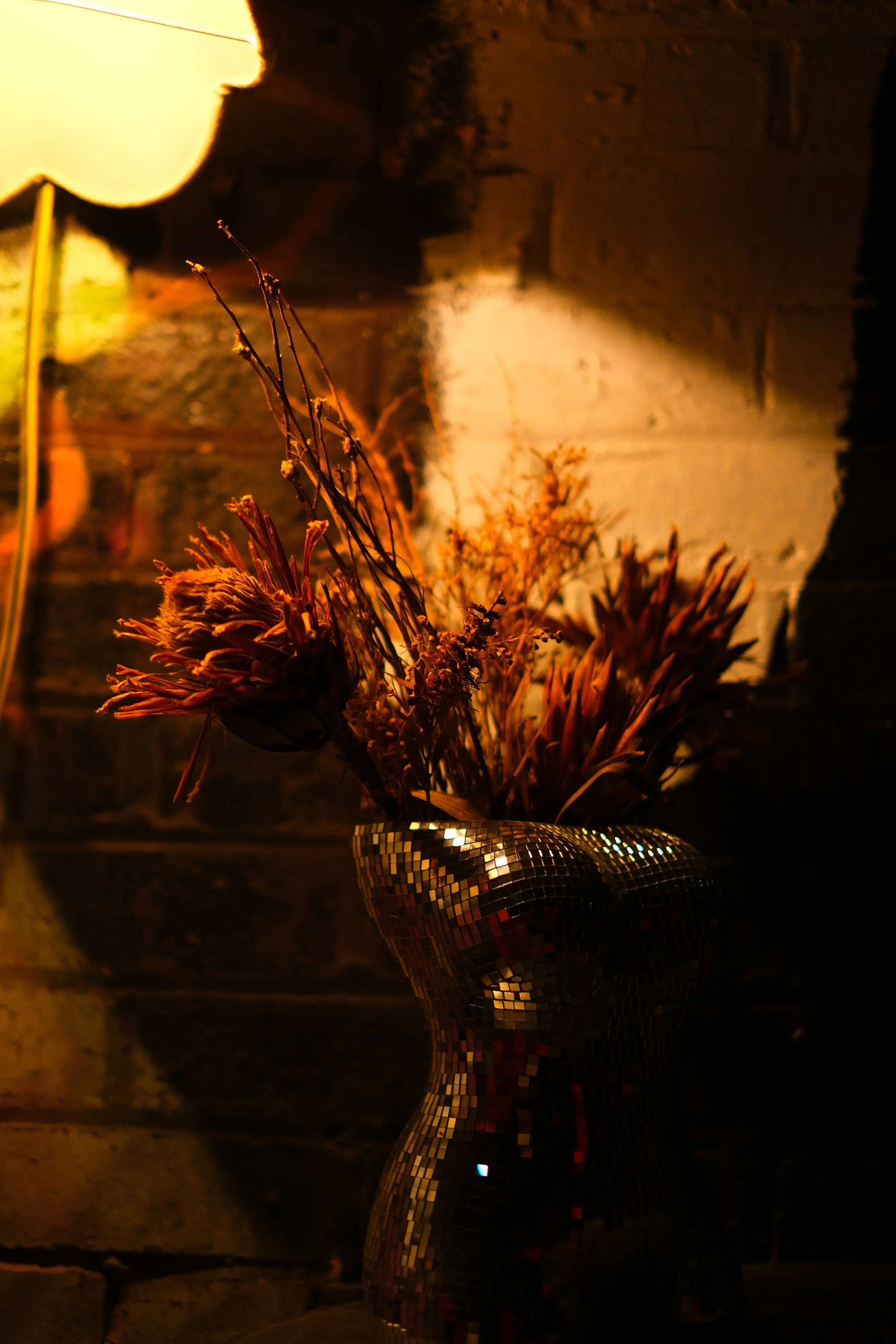 DSCF6097.JPG