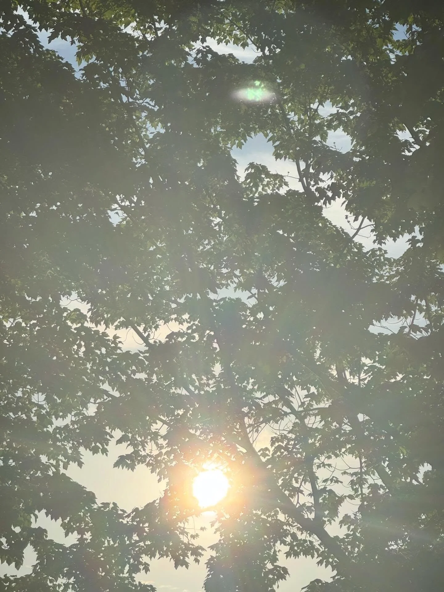 JESUS IS KING. HE IS RISEN.

Today, across the United States and all over the world, people are gathering&mdash;in churches, in homes, in the streets lifting up the name of the risen King.

This is the day everything changed.

He came.
He surrendered