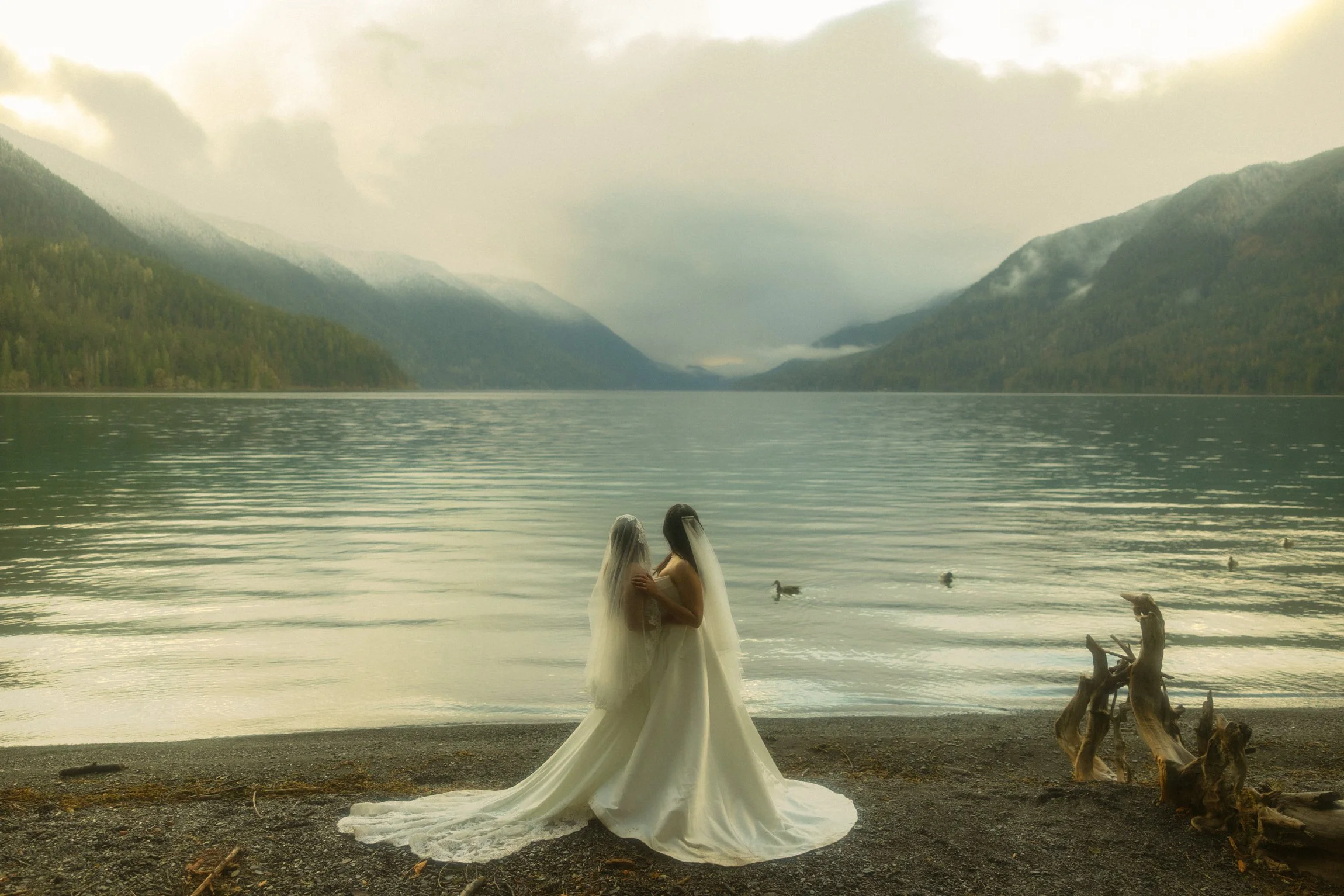 an lgbtq+ lesbian moody olympic national park elopement in Washington state