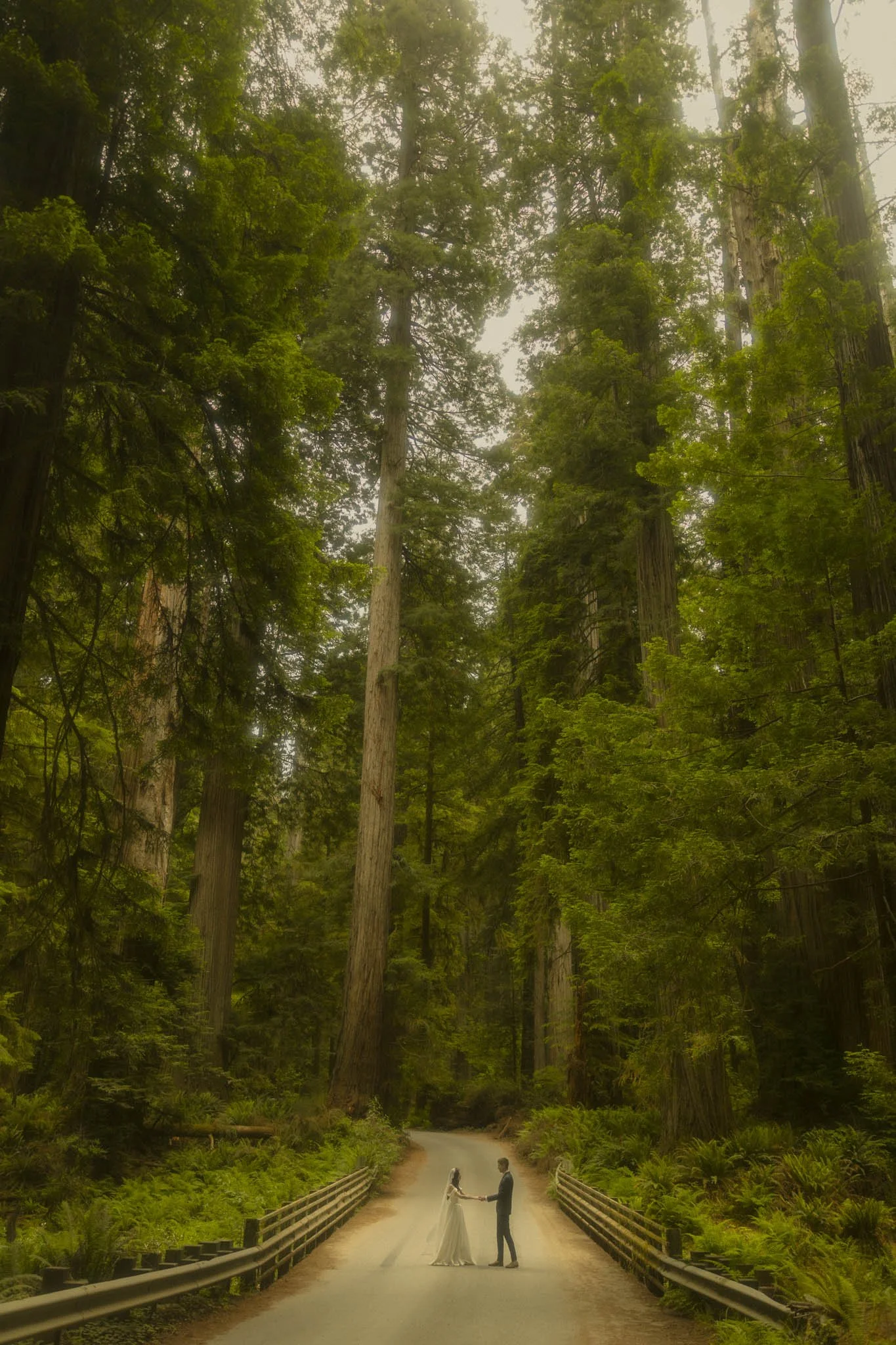 Oregon-Coast-Redwoods-Elopement.jpg