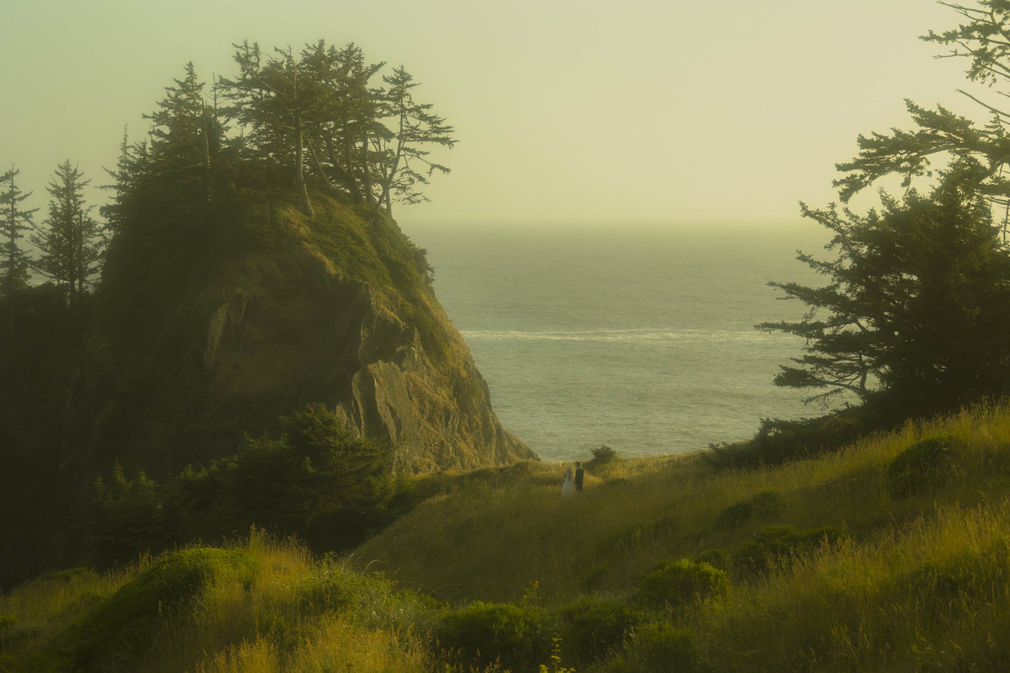 elopement couple exploring coastal meadows along the Oregon Coast