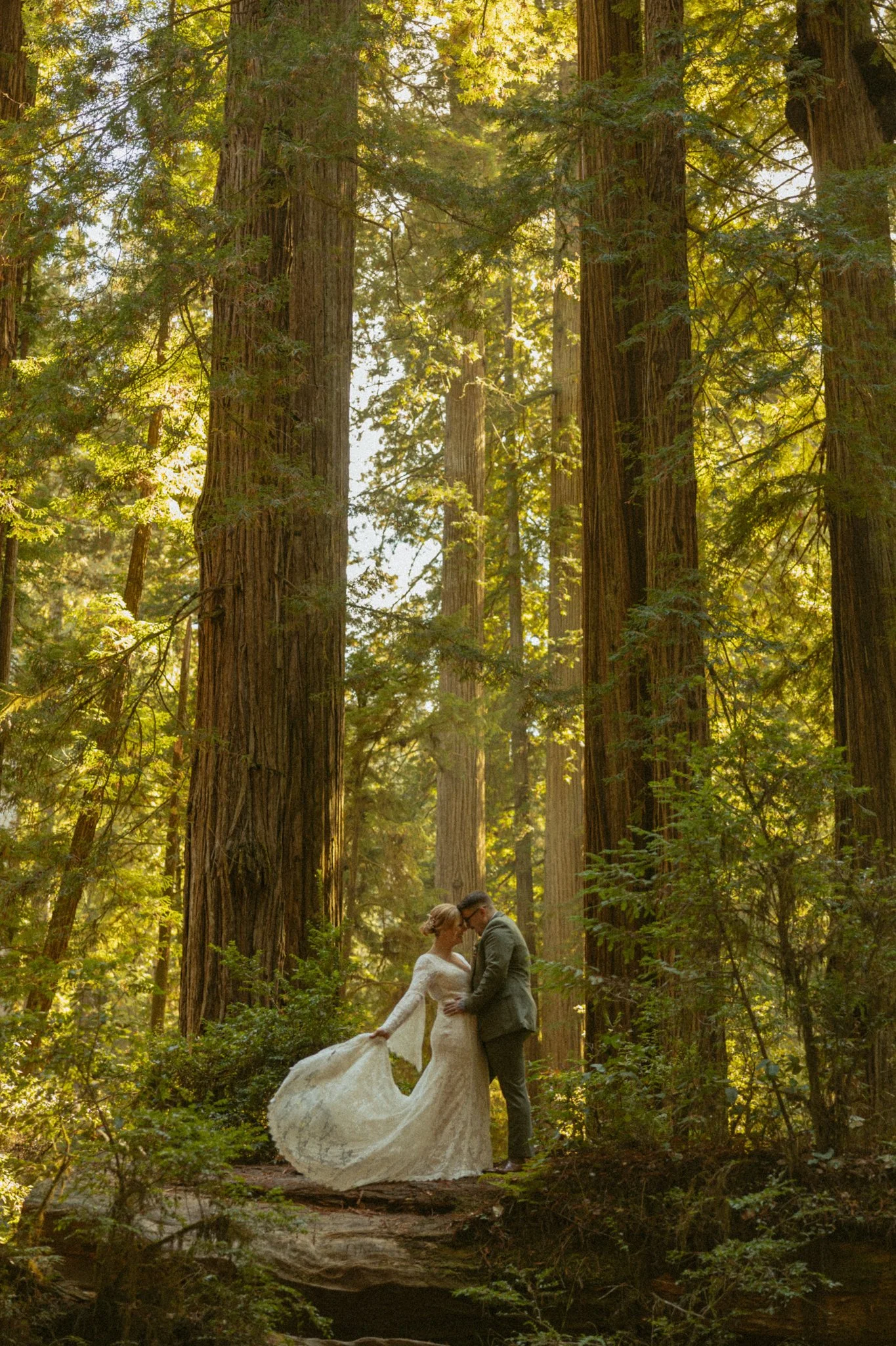 California-Redwoods-Elopement-1