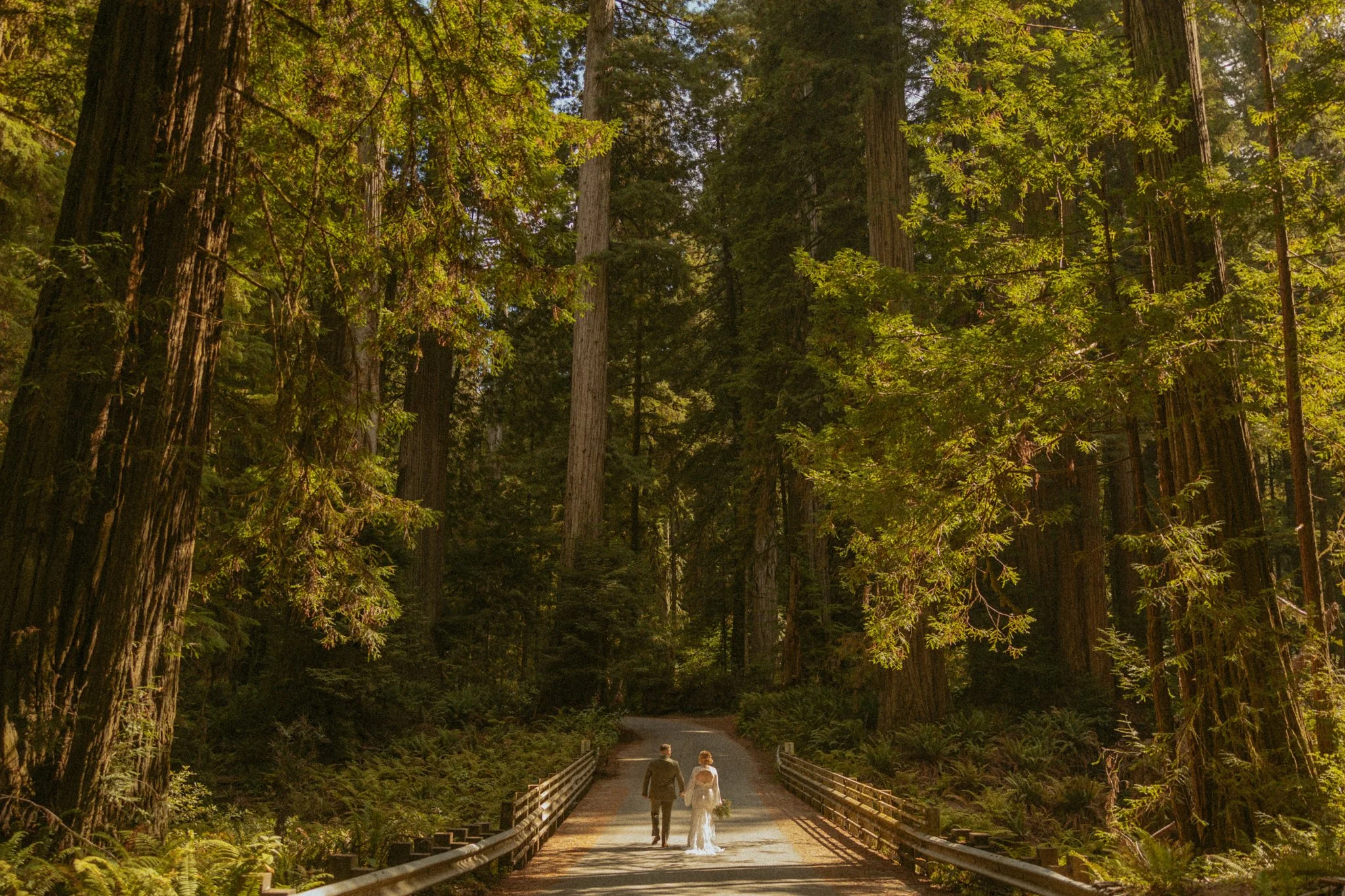 elopement couple walking down a road surrounded by giant Redwood trees