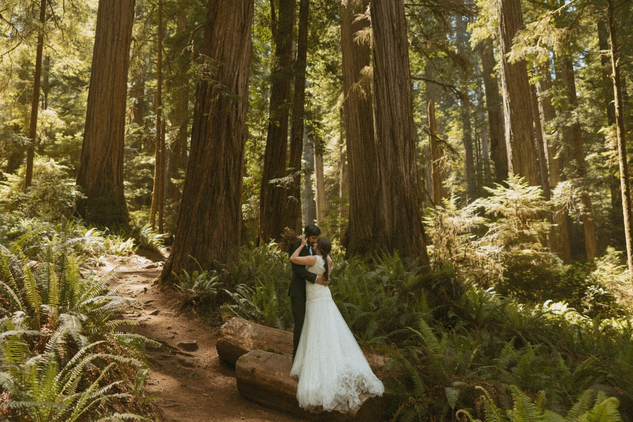 couple eloping in Redwoods National Park