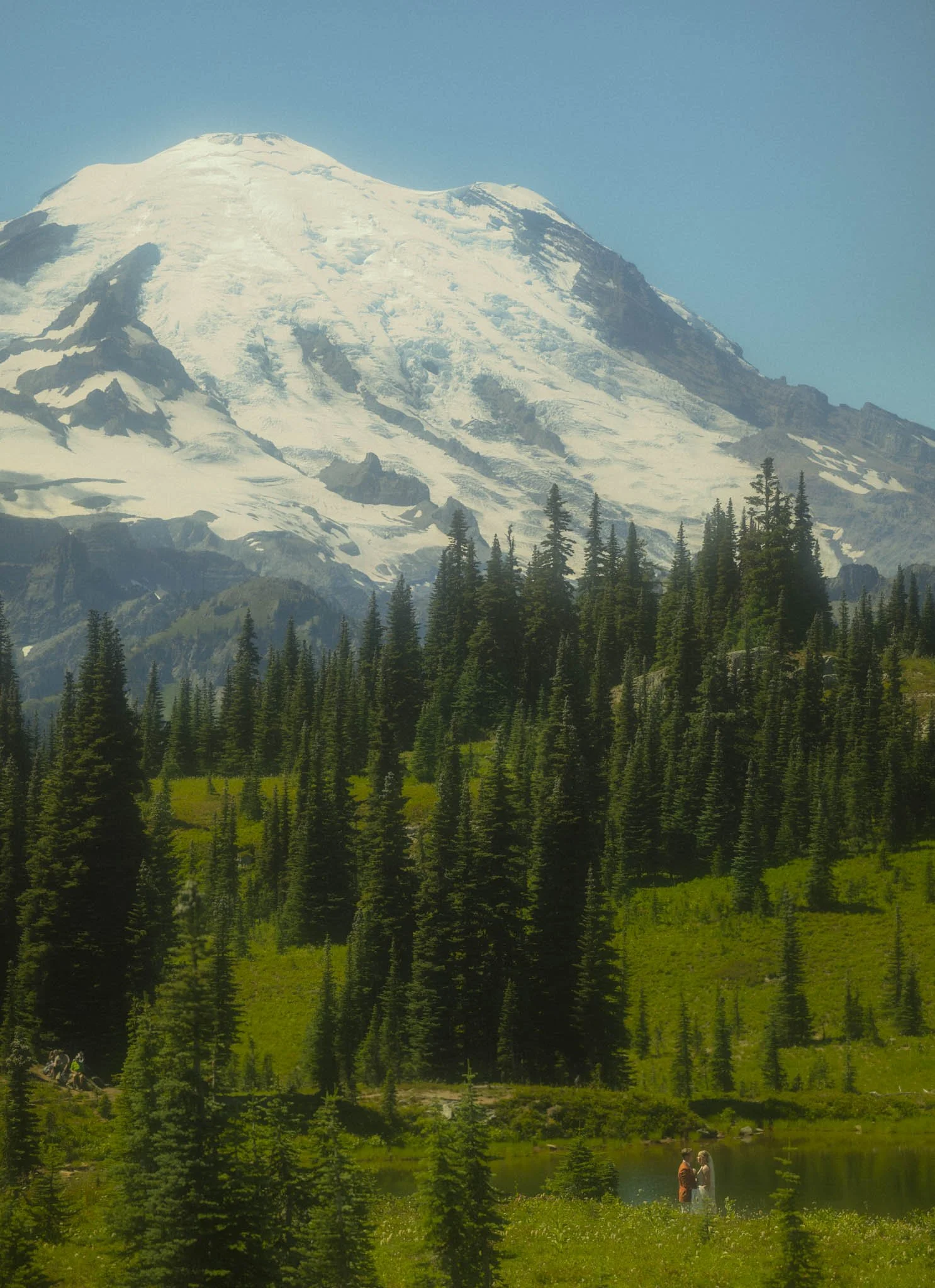 Mt-Rainier-Micro-Wedding.jpg