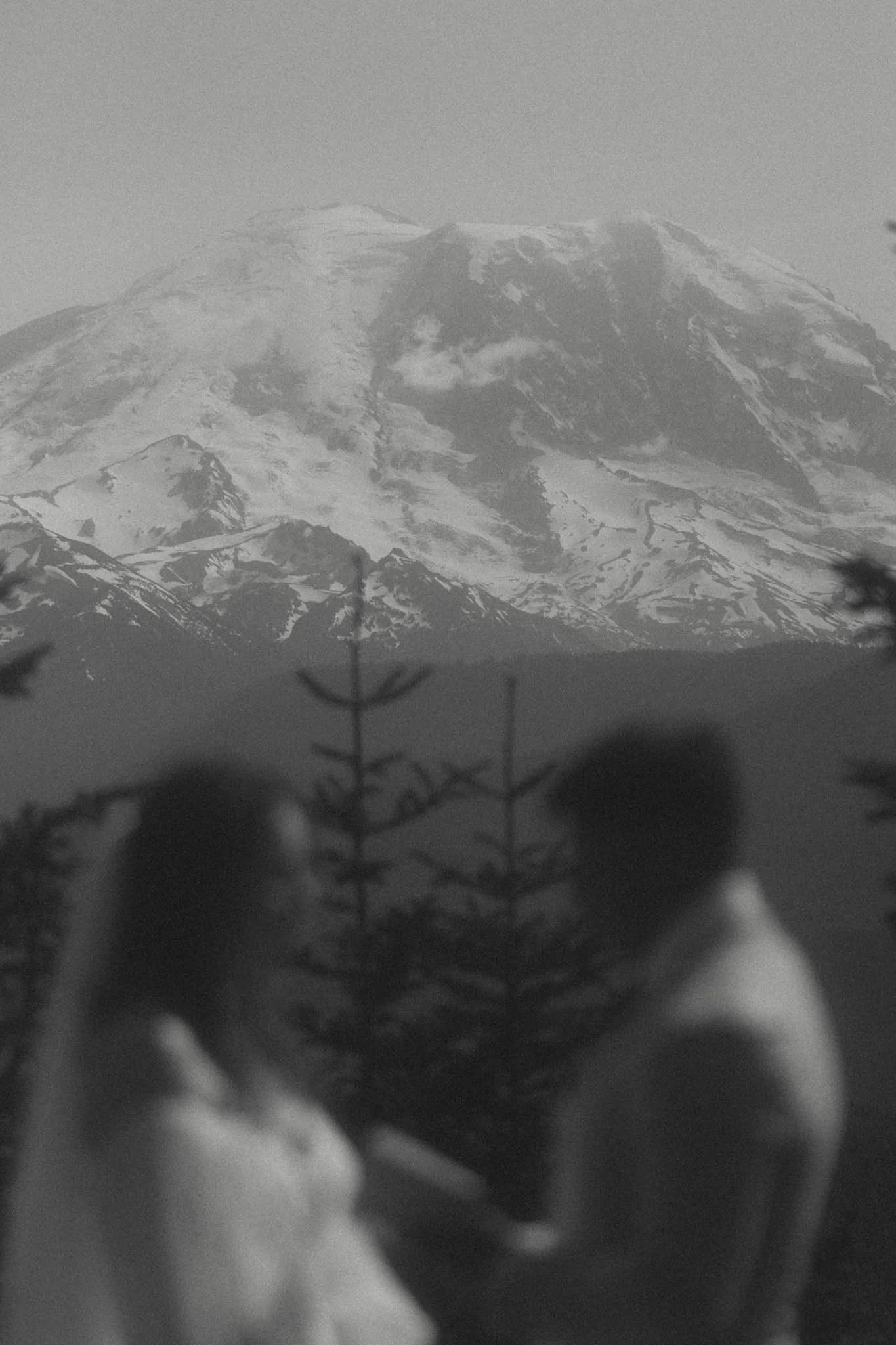 Mount-Rainier-Elopement.jpg