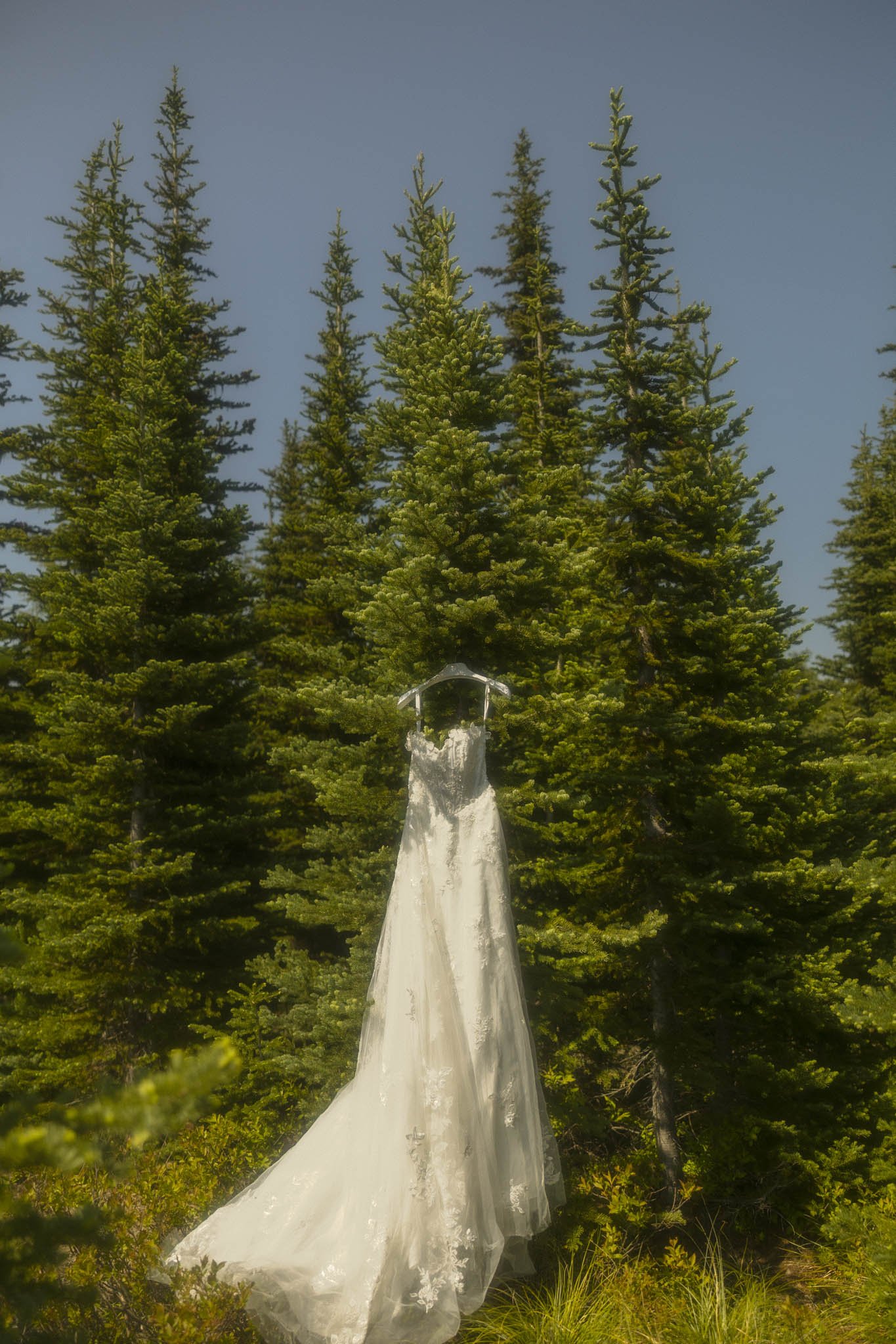 Mount-Rainier-Elopement.jpg