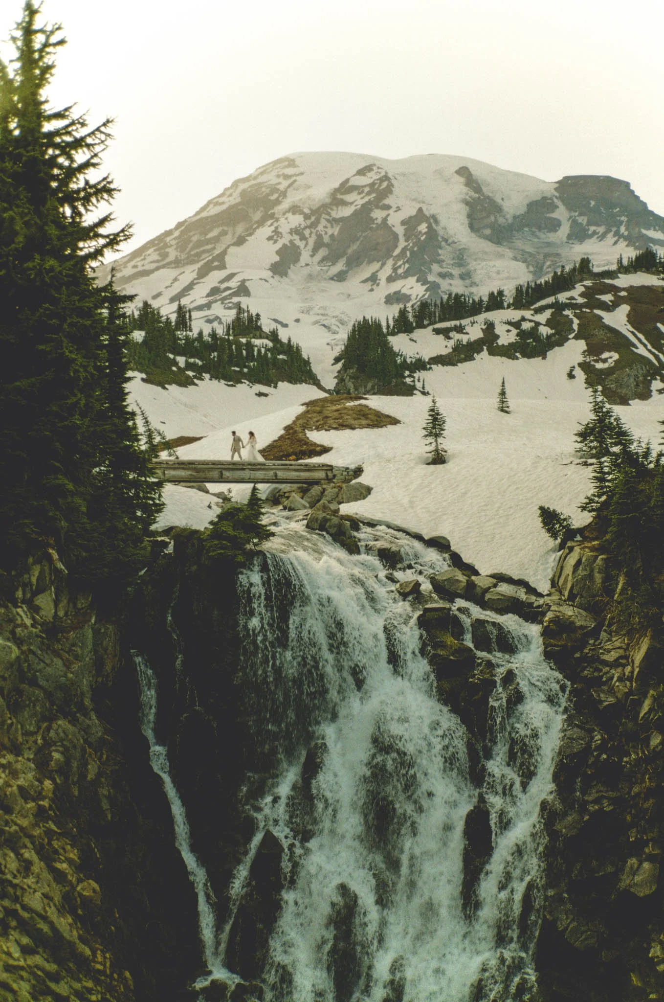 Early Summer Mount Rainier Elopement 