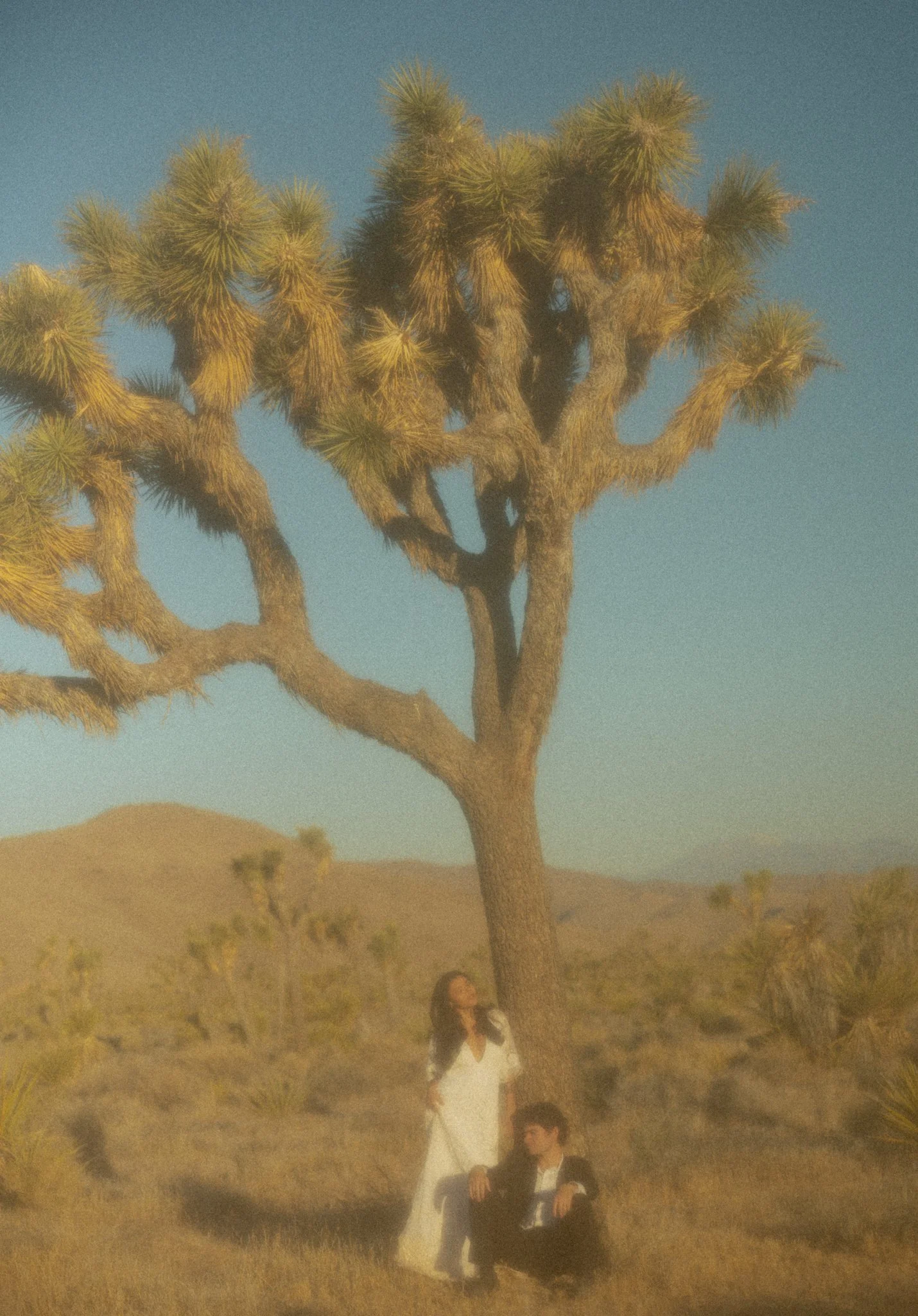 Playful Spring Joshua Tree Elopement | Eva + Isaac