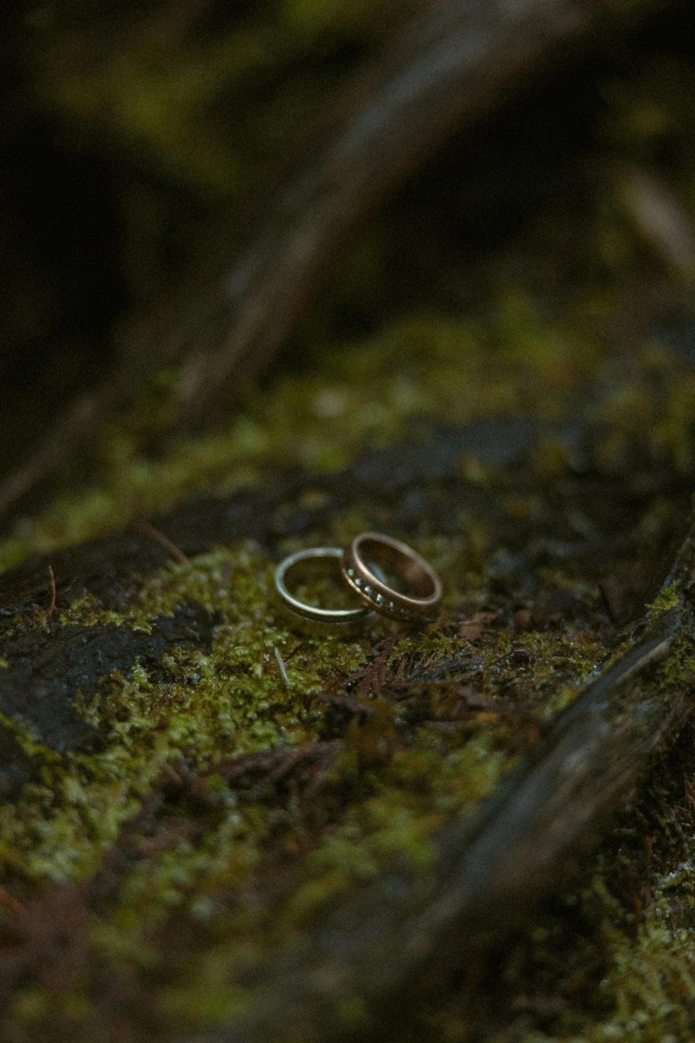 Olympic-National-Park-Elopement.jpg