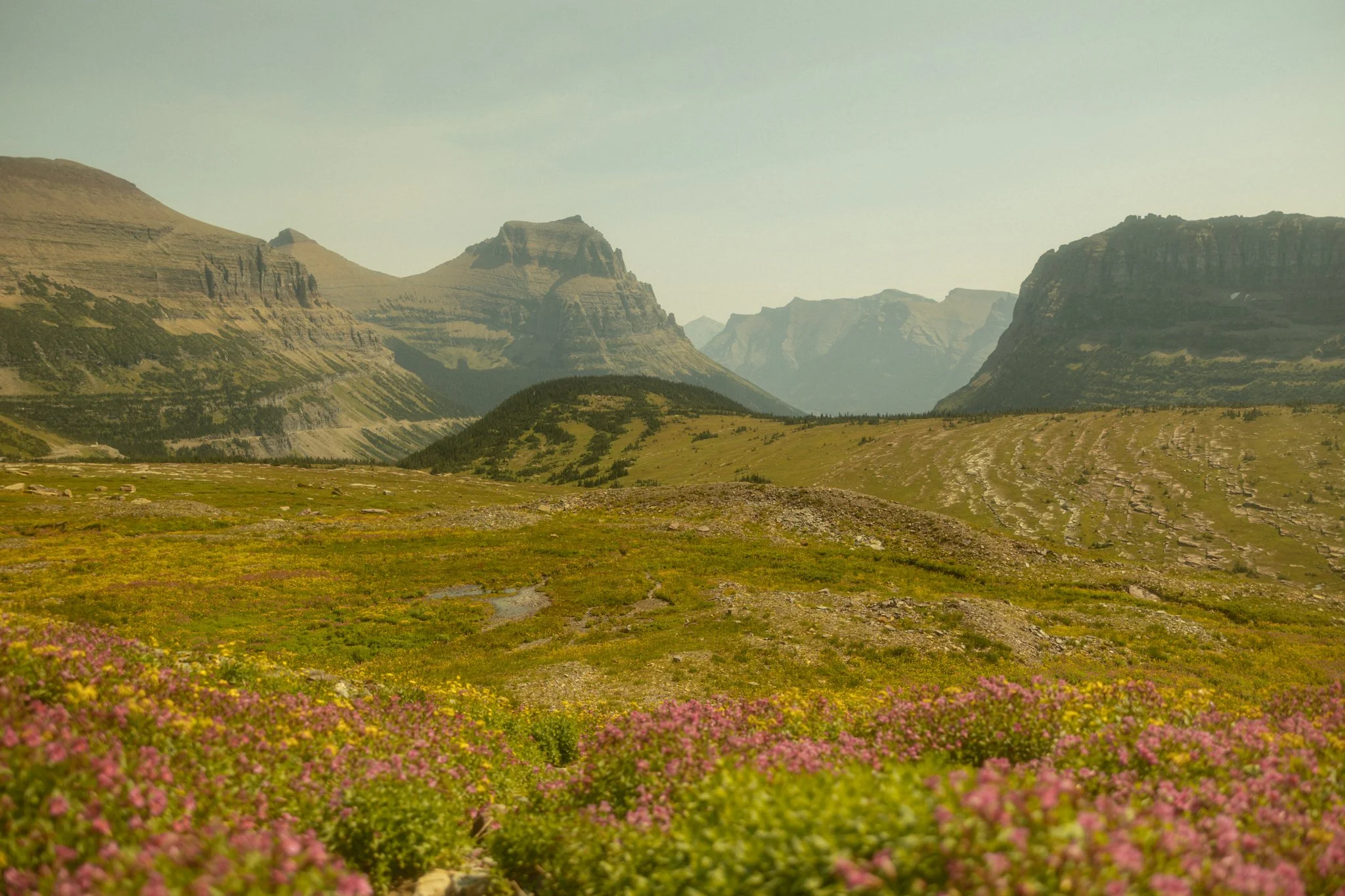 Logan Pass in Glacier National Park, Montana