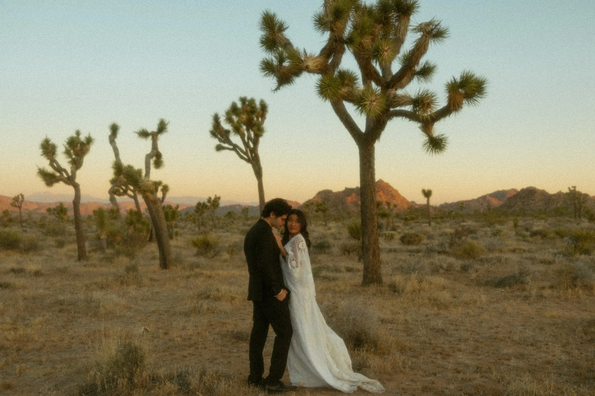 couple eloping in California's Joshua Tree National Park