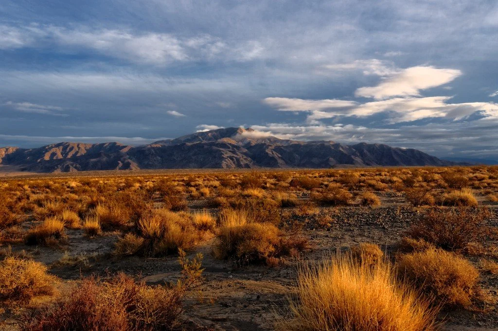 Turkey Flats at Joshua Tree National Park
