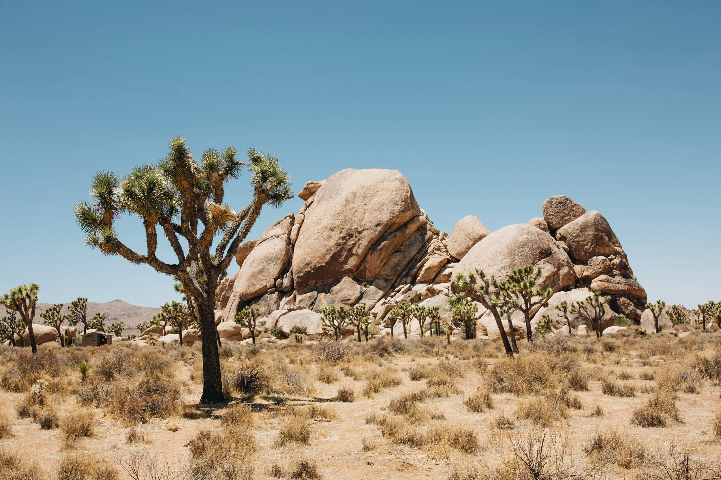 Cap Rock at Joshua Tree National Park