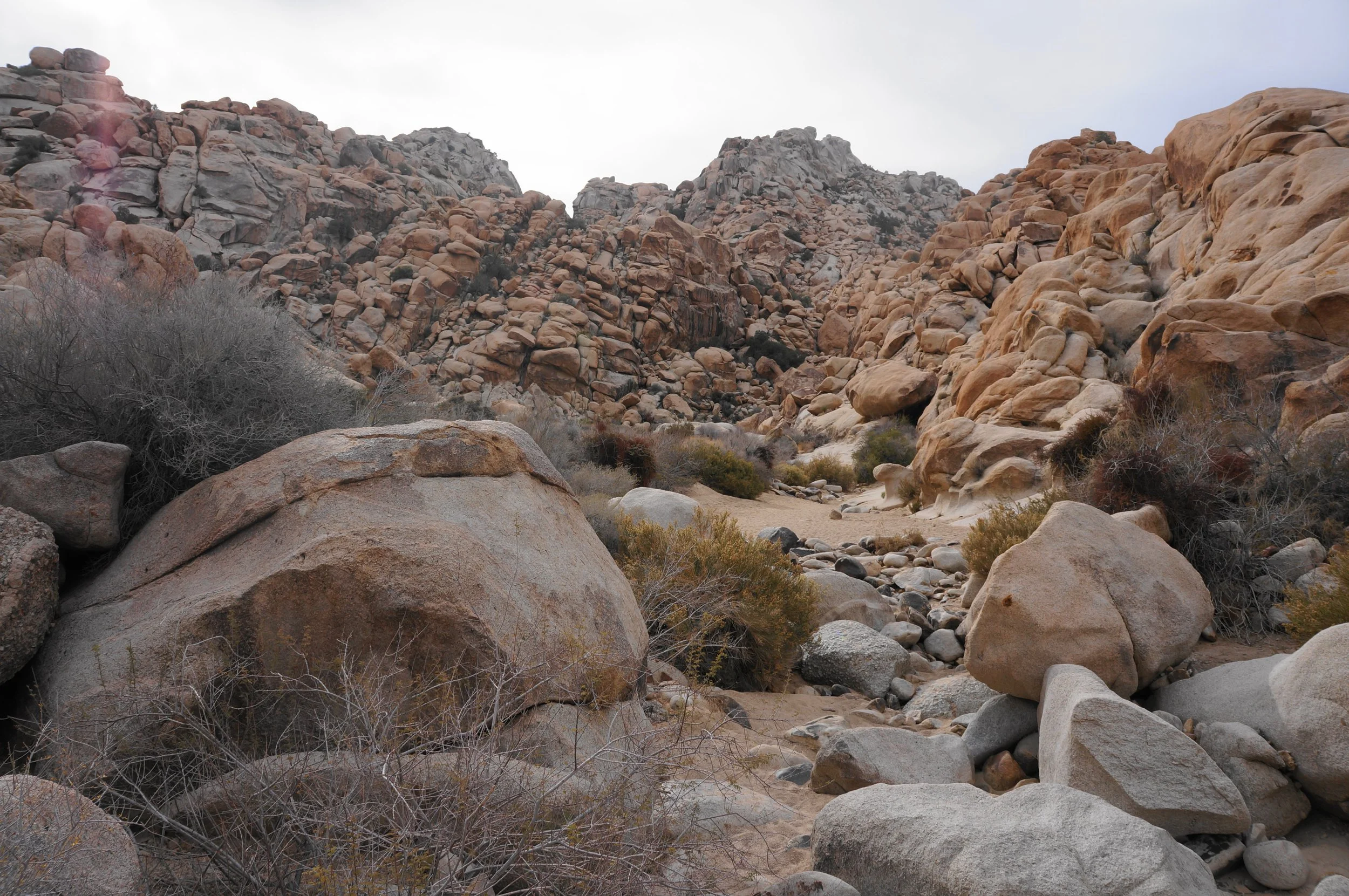 rattlesnake canyon at Joshua Tree national park
