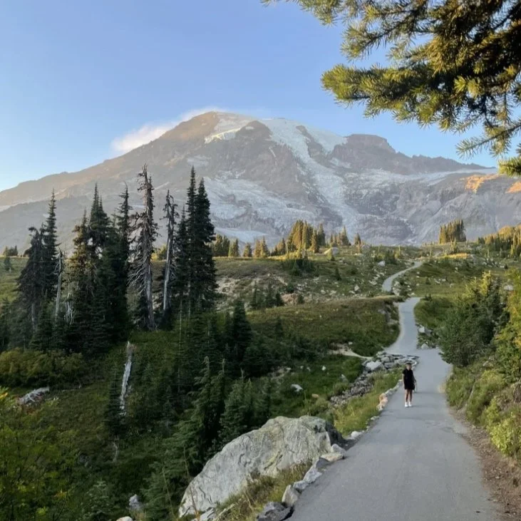 skyline trail in Mt Rainier National Park