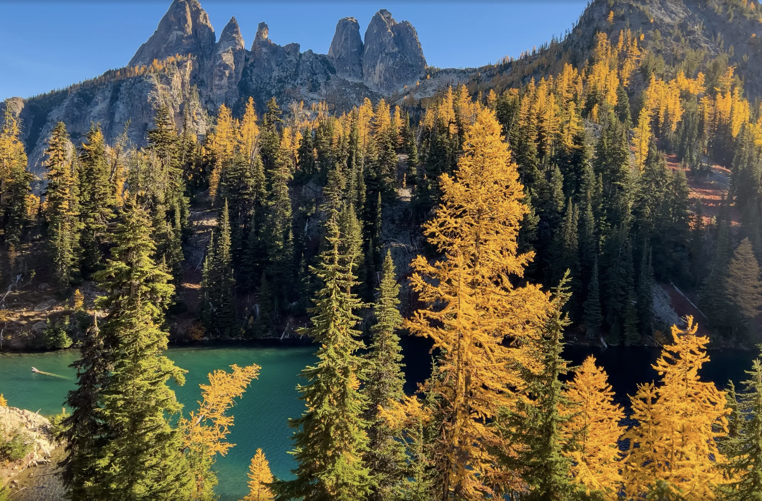 fall larches around Blue Lake