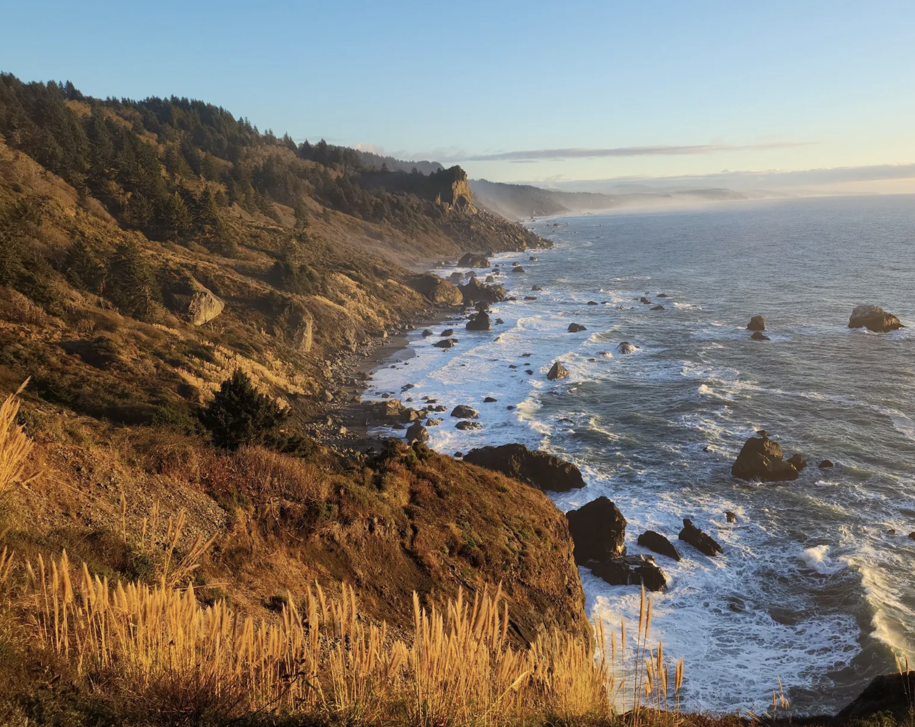 high bluffs overlook in prairie creek redwoods state park