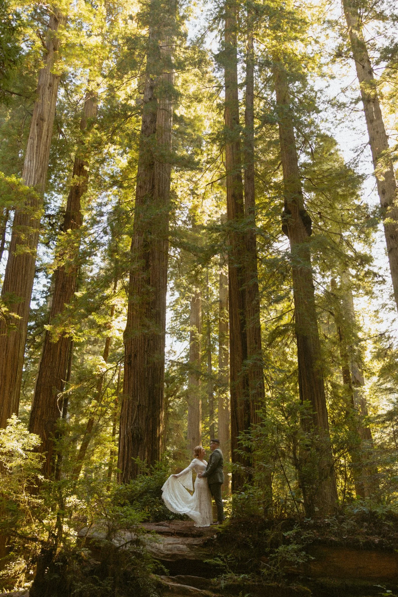 couple eloping in California's Redwood National Park