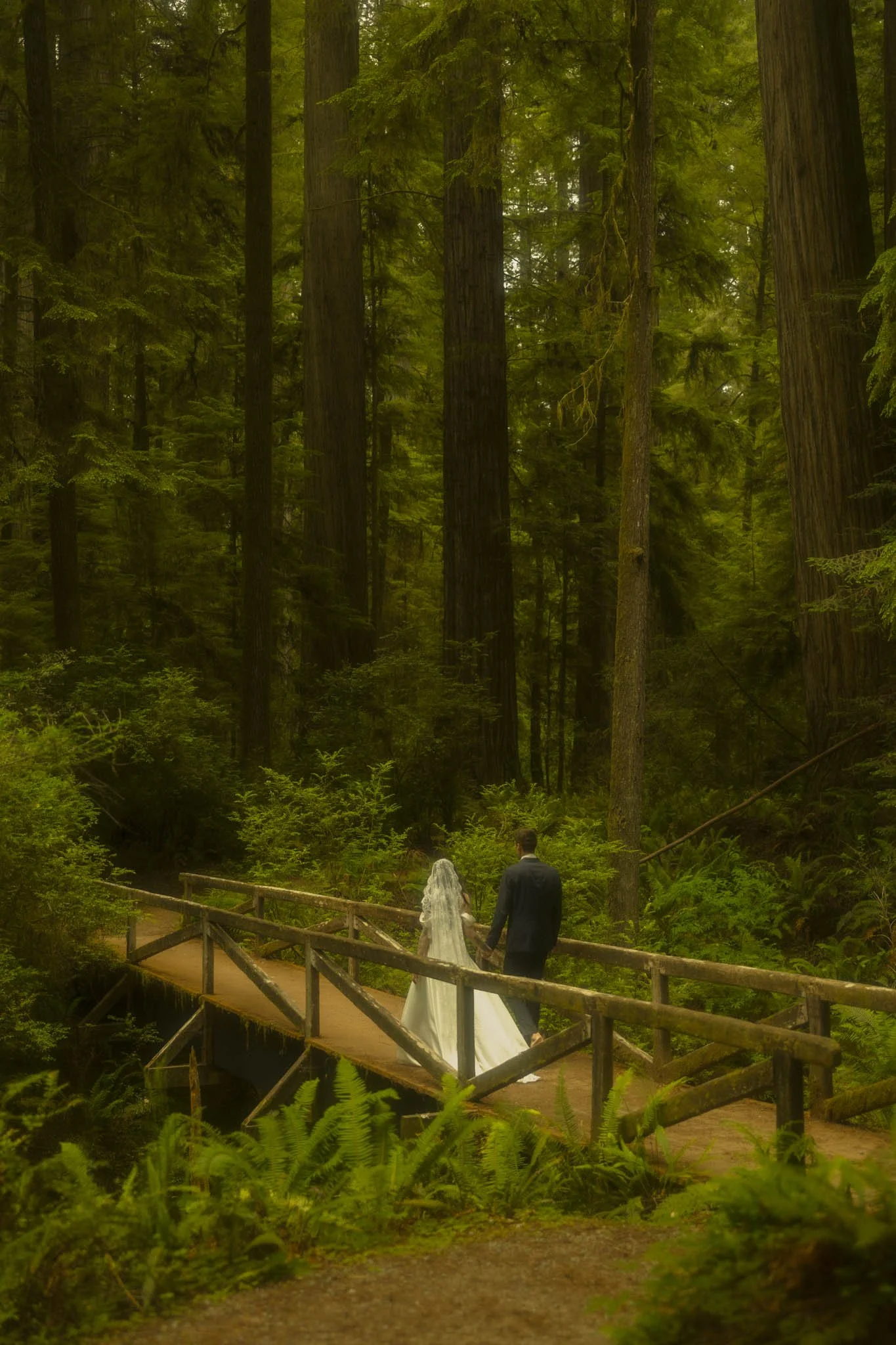 elopement couple walking over trail bridge in an old growth Redwood Grove