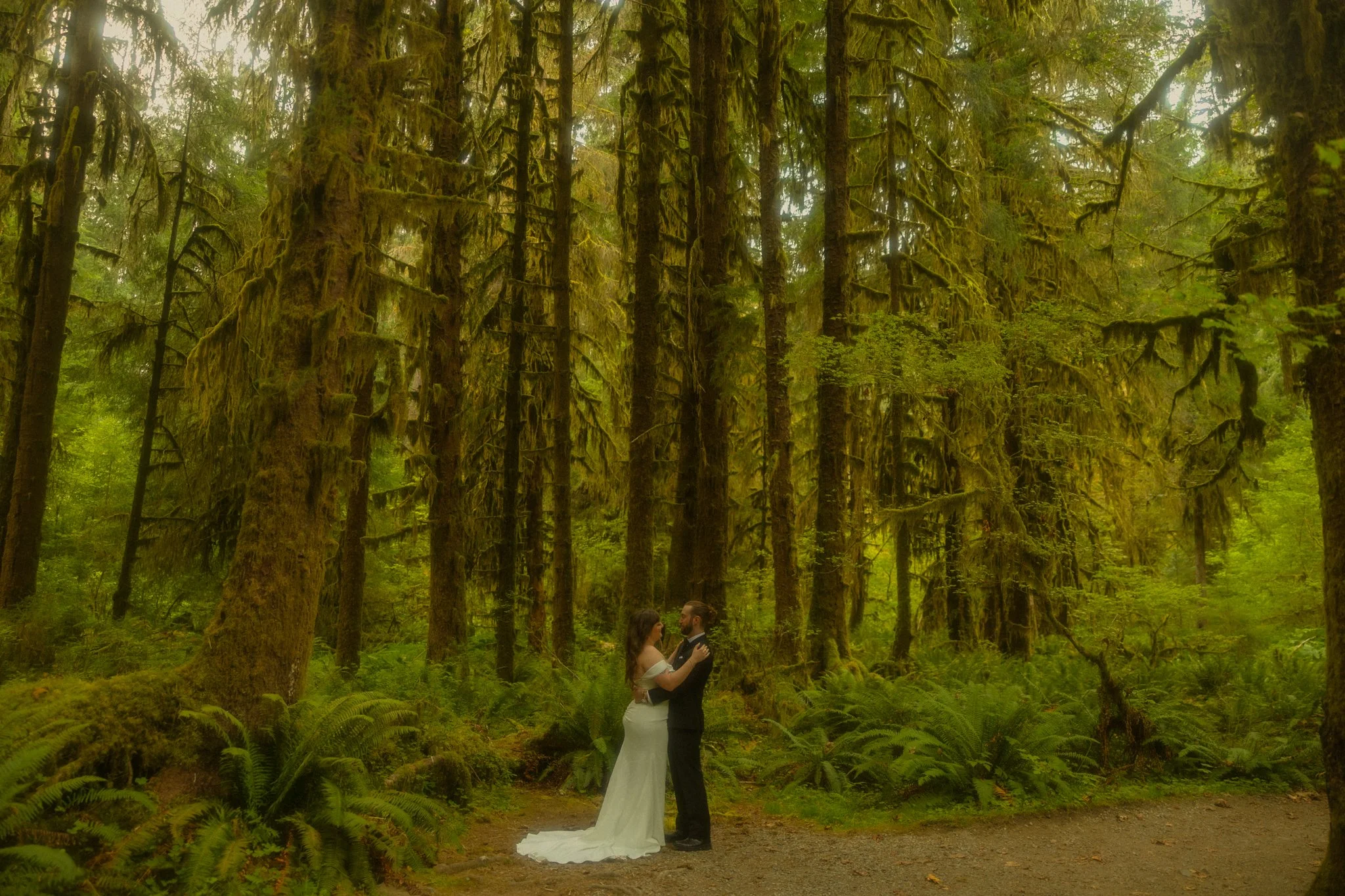 a couple getting married in the Hoh Rainforest of Olympic National Park