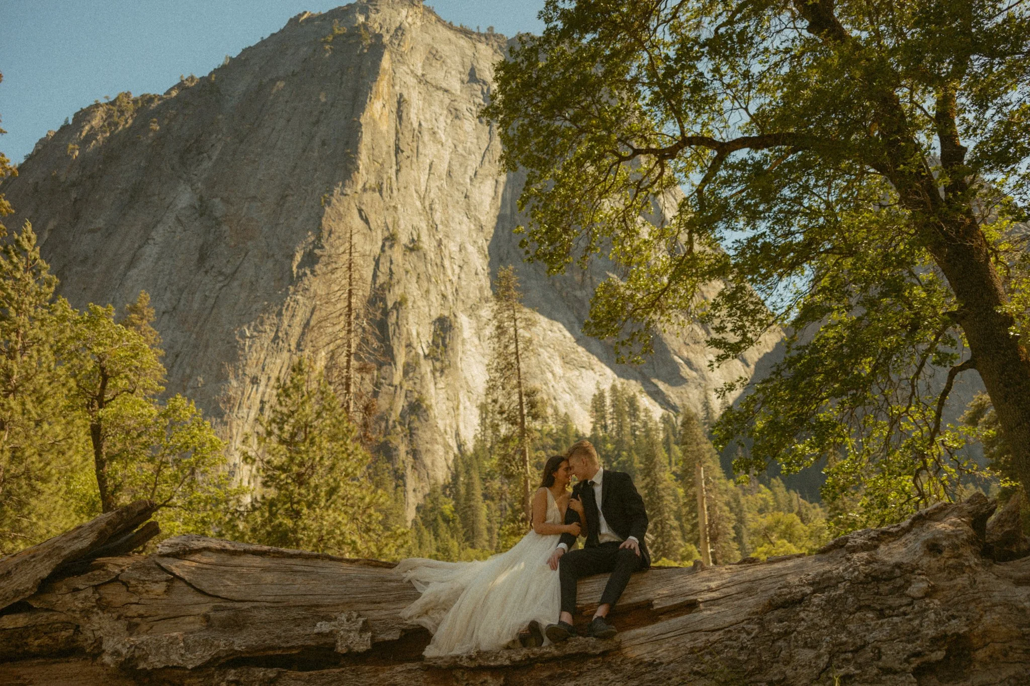 elopement couple in Yosemite Valley