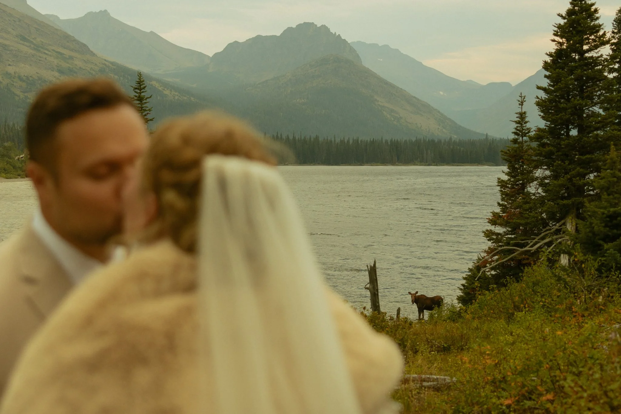 elopement couple kissing with Moose in the distance in Montana's Glacier National Park