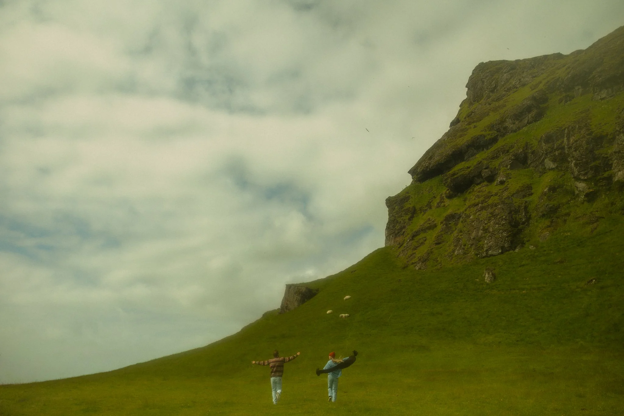a couple frolicking through an open field with sheep in Iceland on the first day of their honeymoon