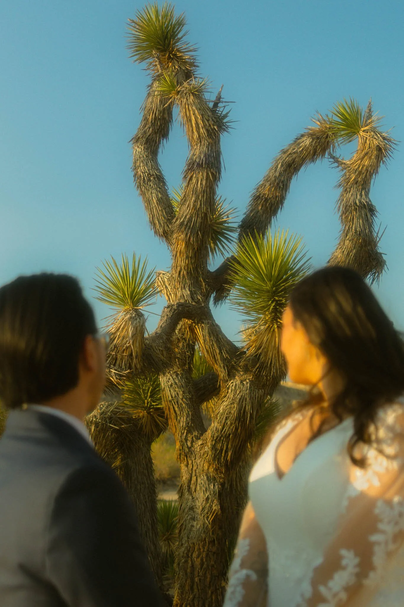 Southern-California-Elopement.jpg