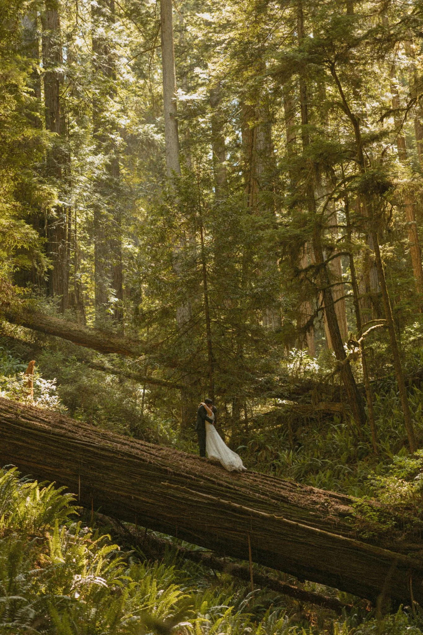 California-Redwoods-Elopement.jpg