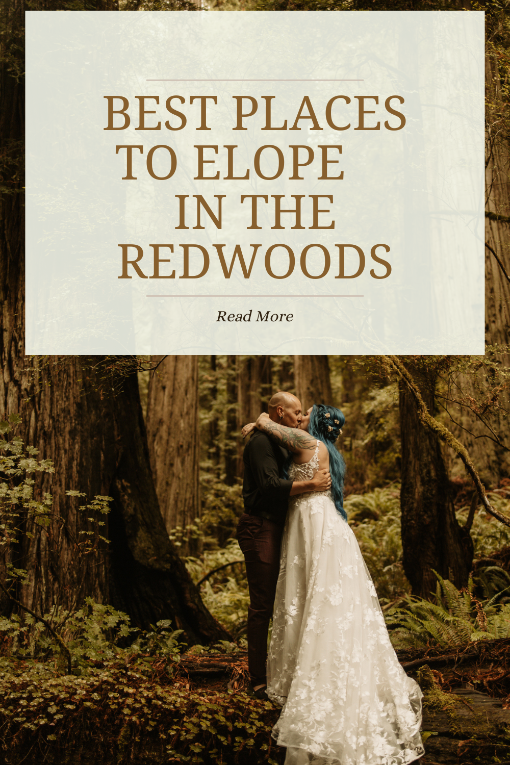 The Best Elopement Locations  for California Redwoods