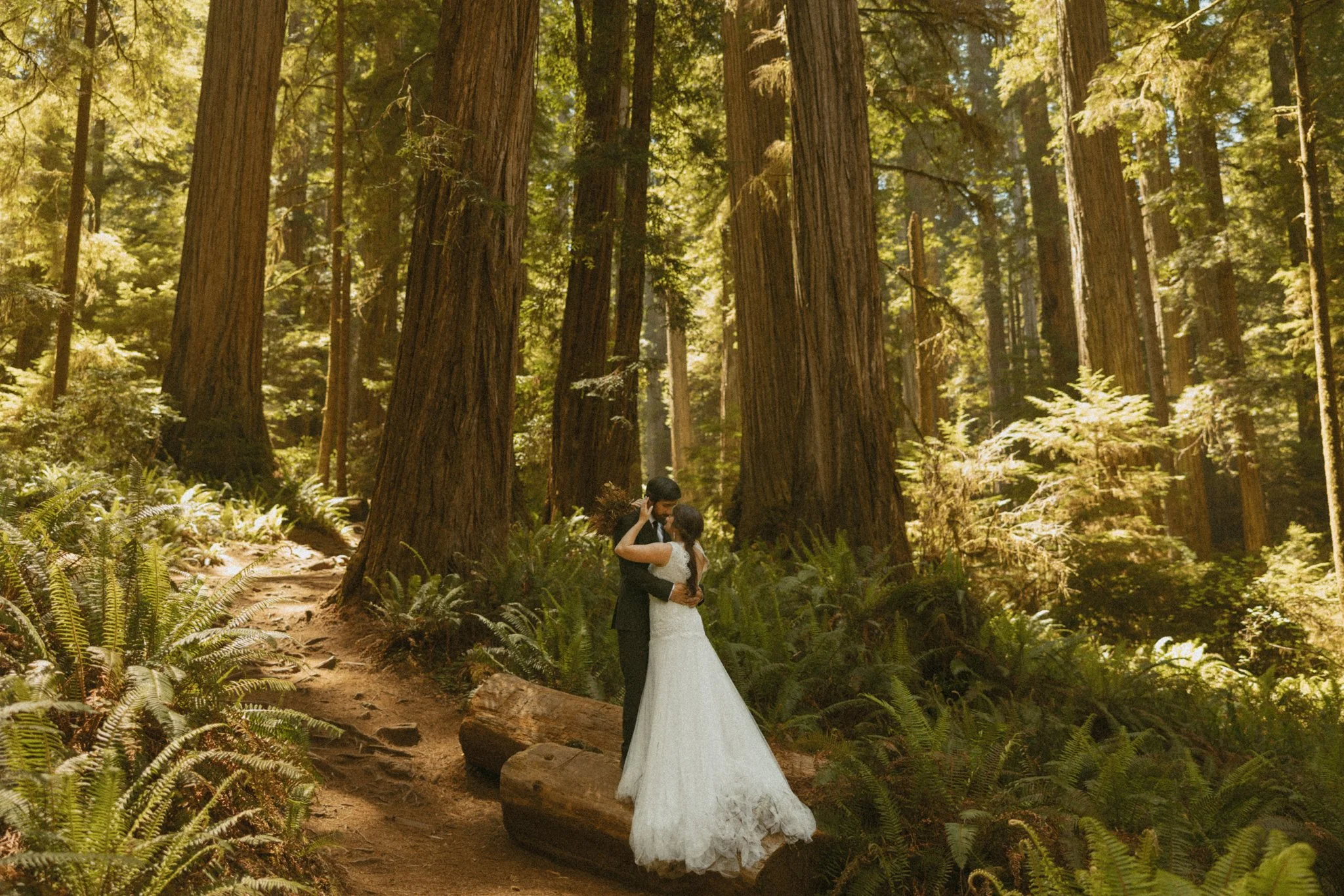 couple eloping in Redwoods National Park in California