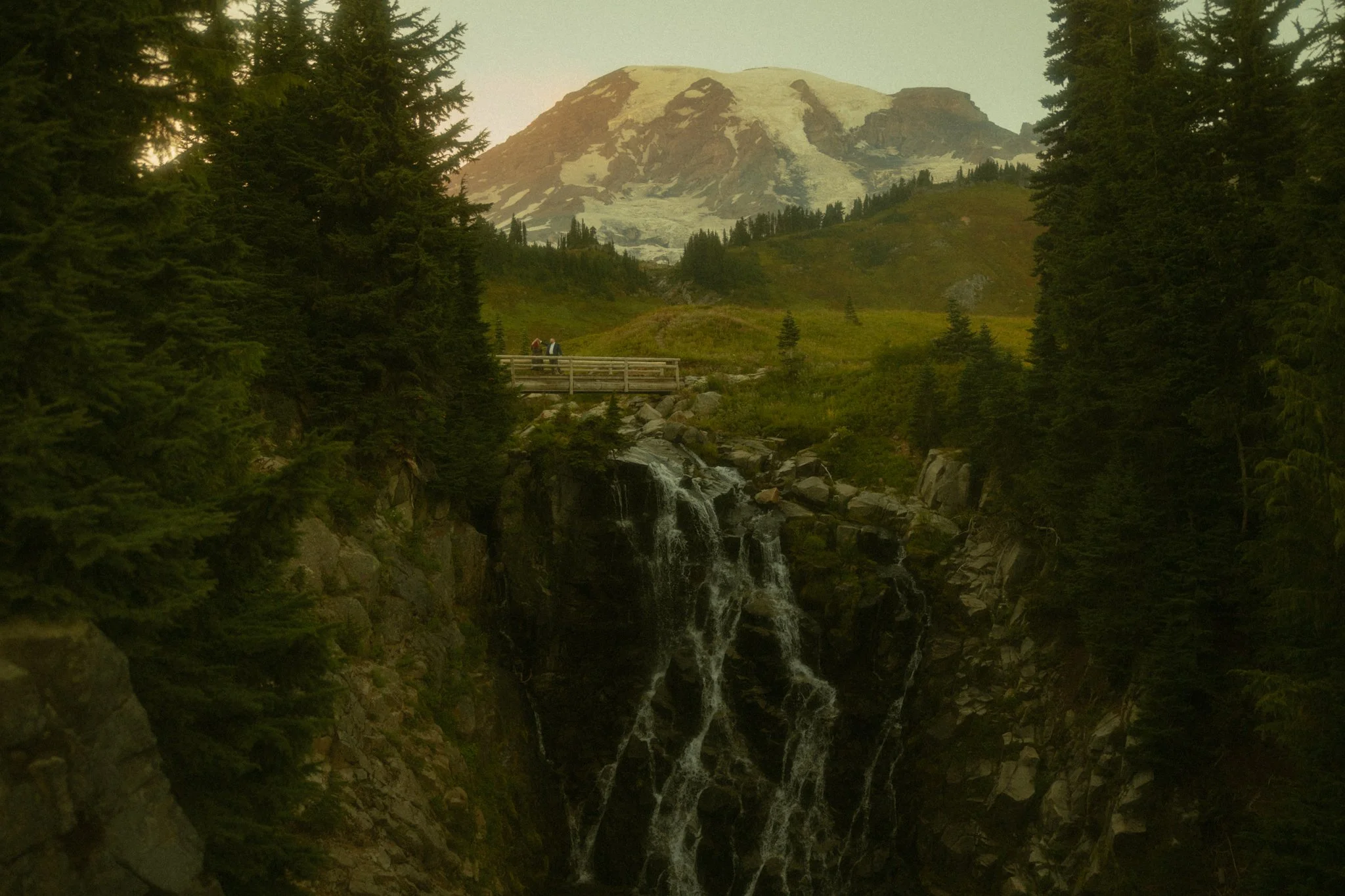 elopement couple walking on a trail in Mt Rainier National Park in Washington