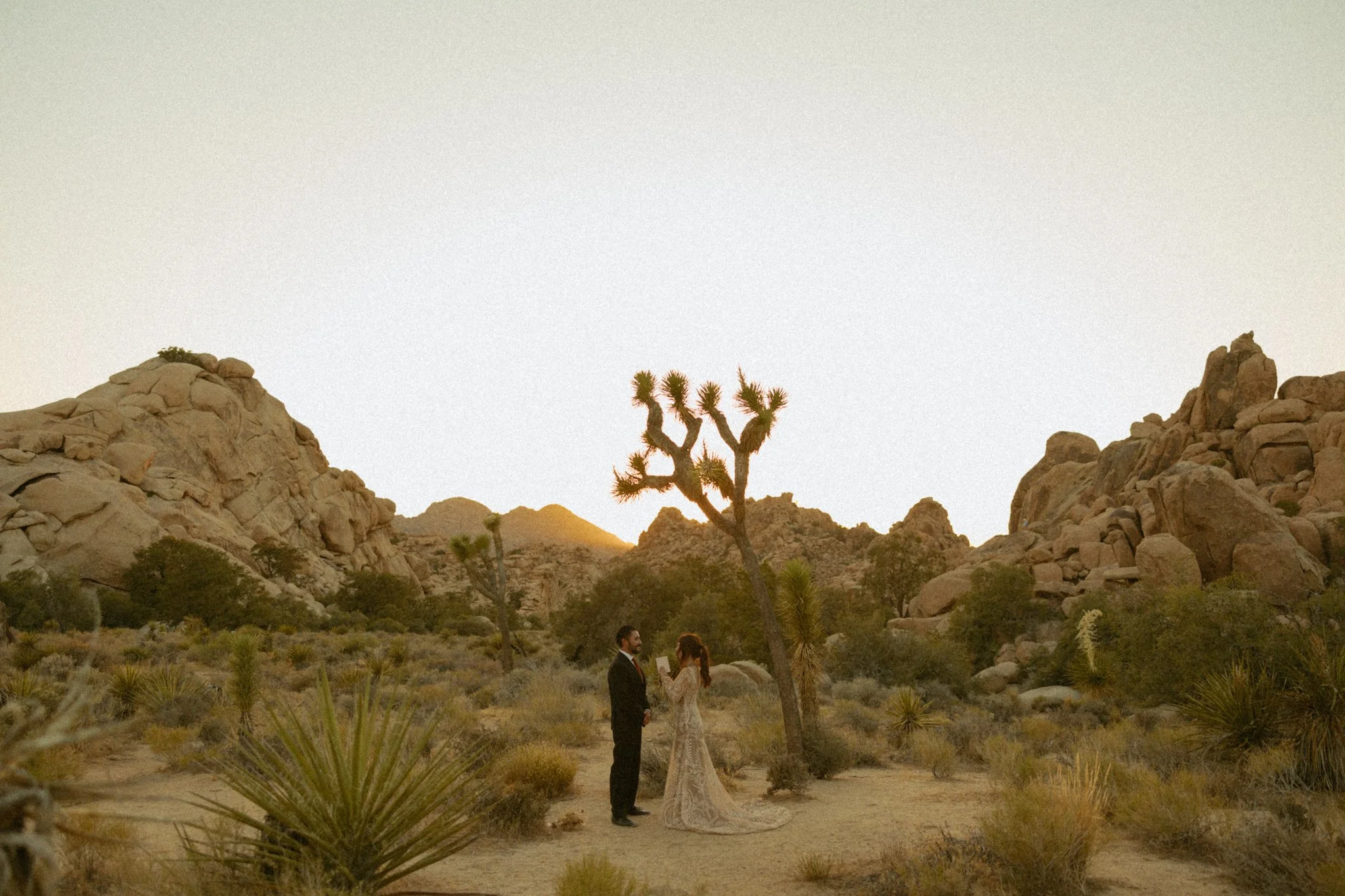 elopement couple reading their vows in California's Joshua Tree National Park