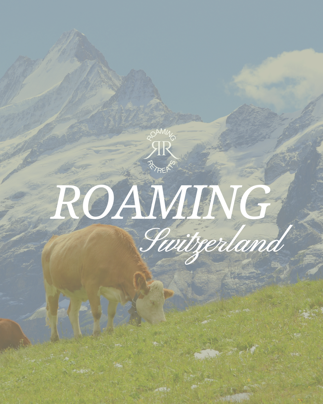 Roaming Switzerland Retreat (Shoot Pass Ticket)