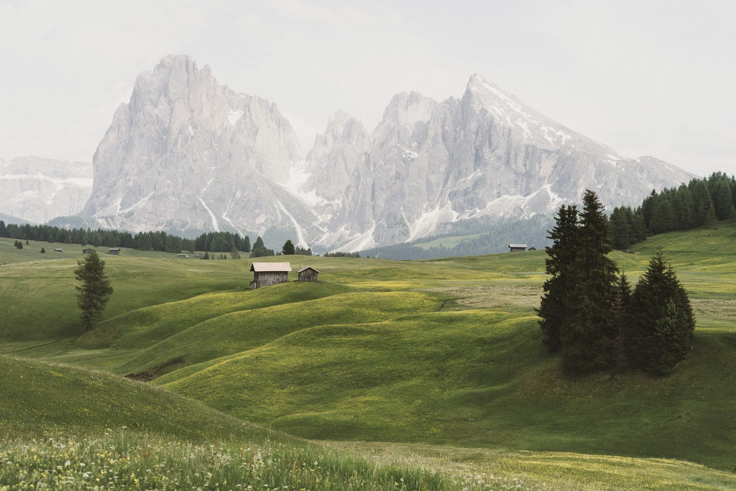 a landscape photo of Alpe di Siusi in the Dolomites