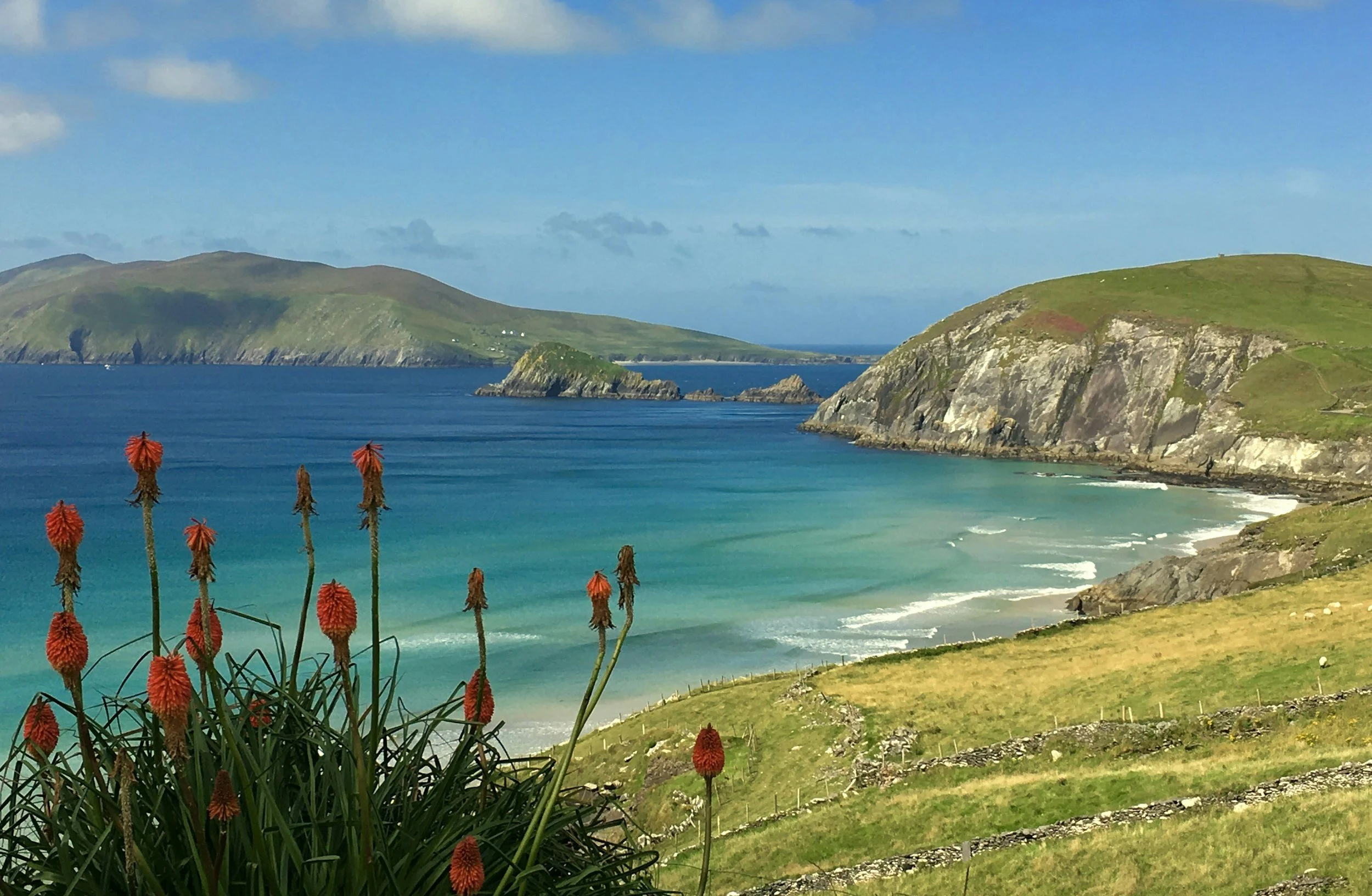 a landscape photo of the rolling green hills and coastal area of Dingle in Ireland
