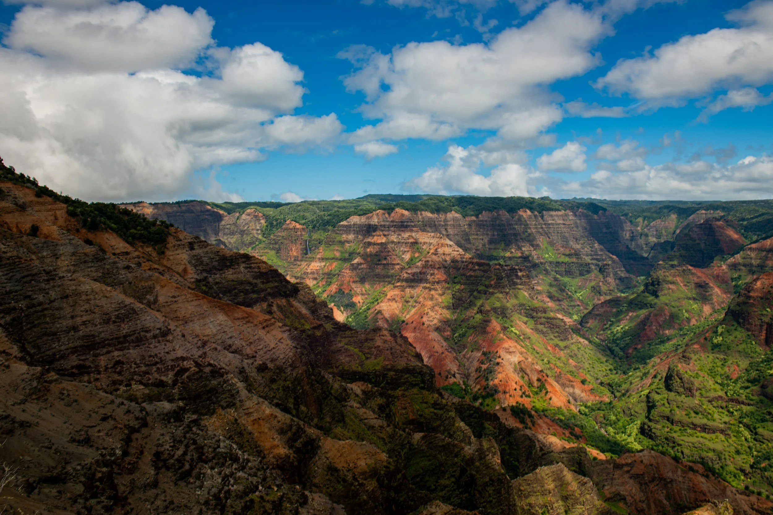 a landscape photo of the Waimea Canyon on the island of Kauai in Hawaii
