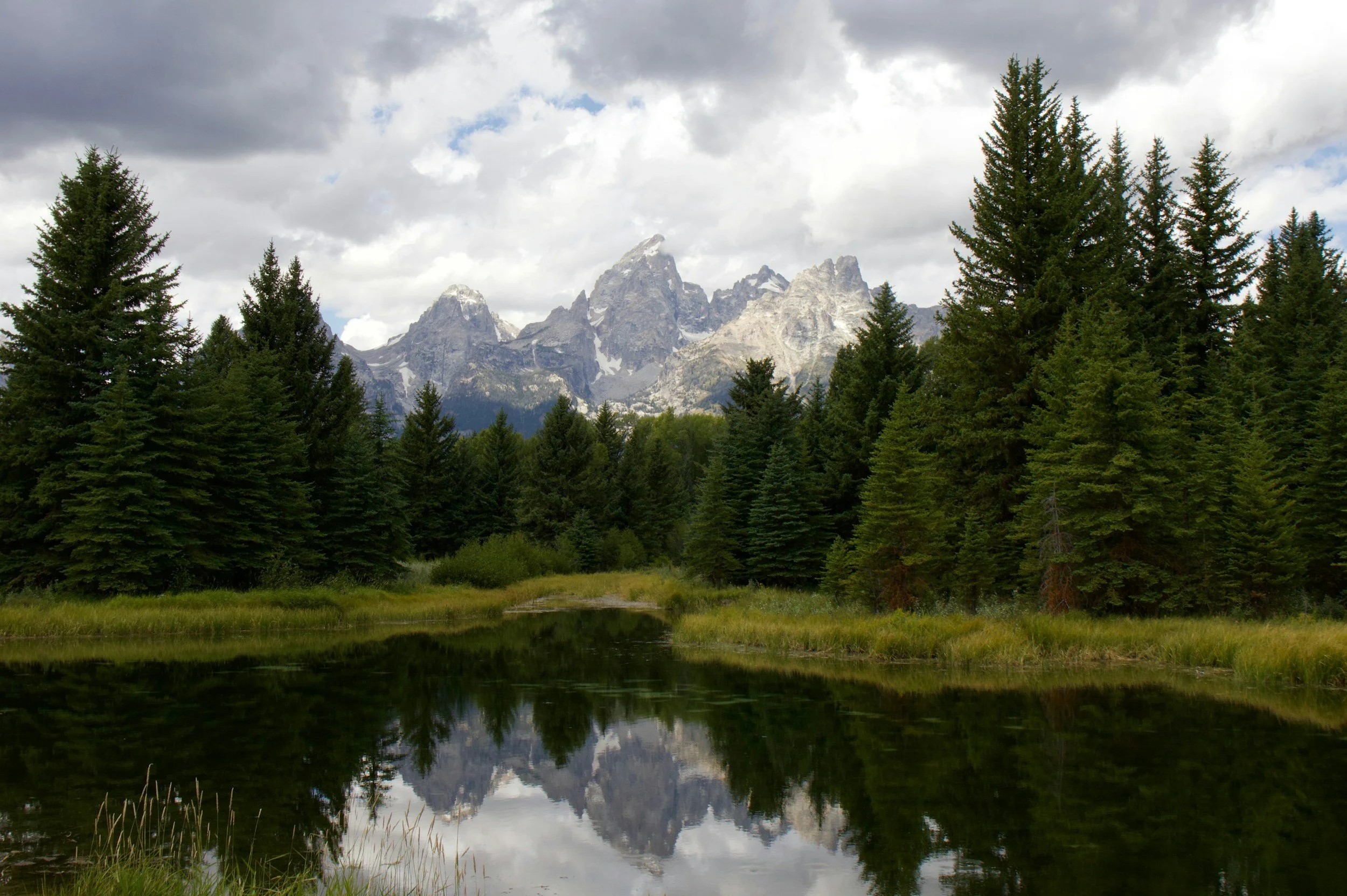 a landscape photo of Schwabacher Landing in Grand Teton National Park