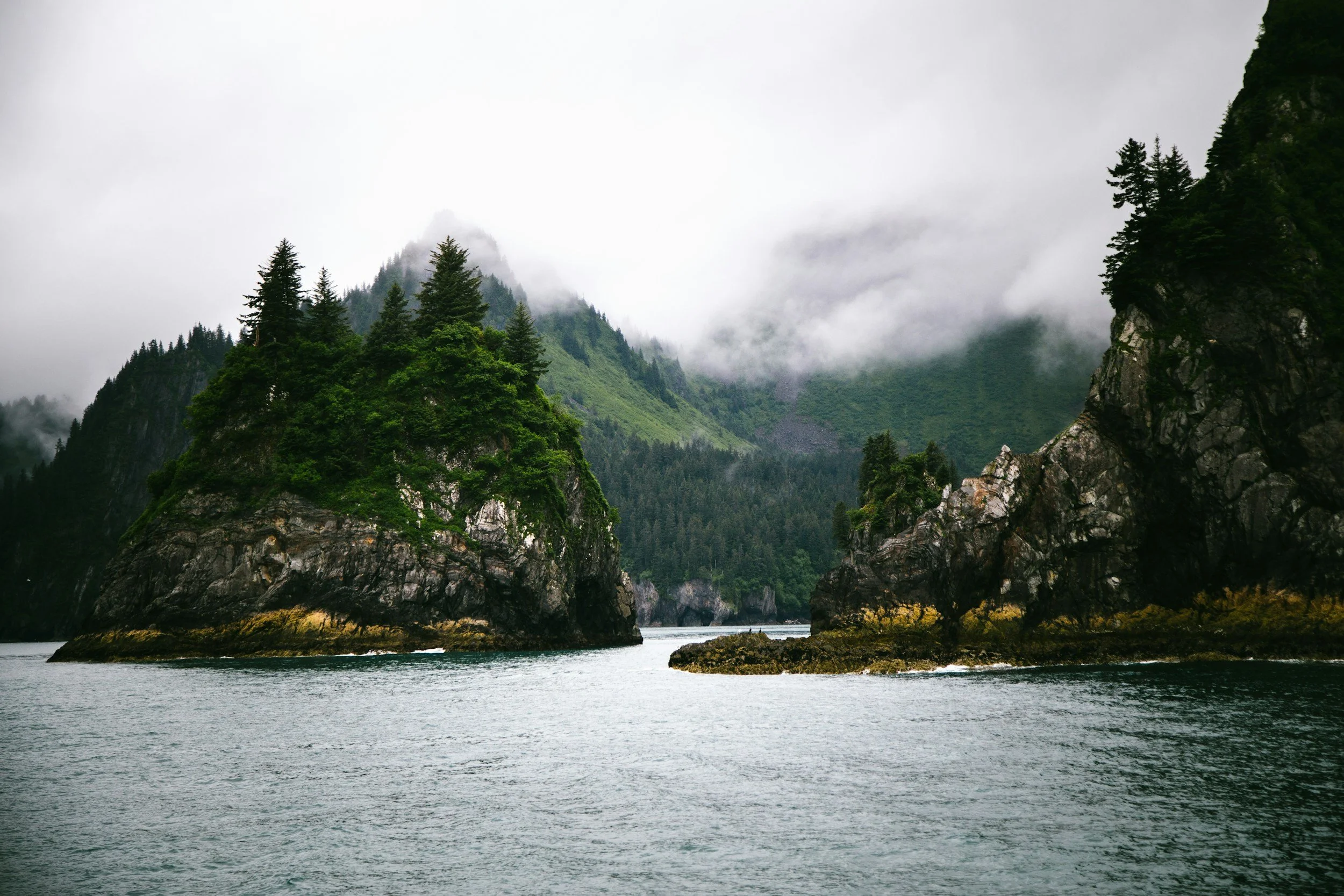 a landscape photo of Kenai Fjords in Alaska