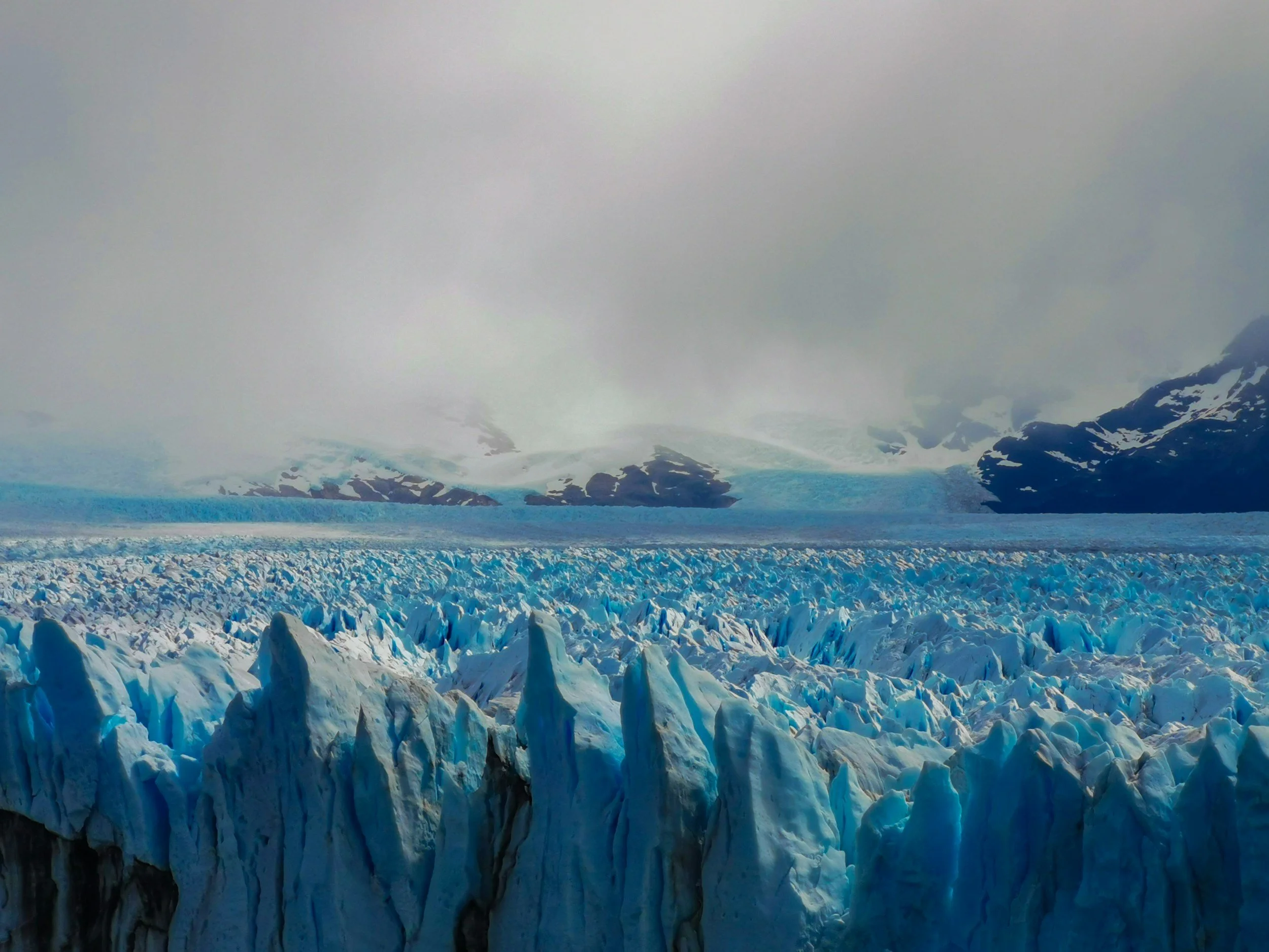 a landscape photo of a glacier in Alaska's Glacier Bay National Park