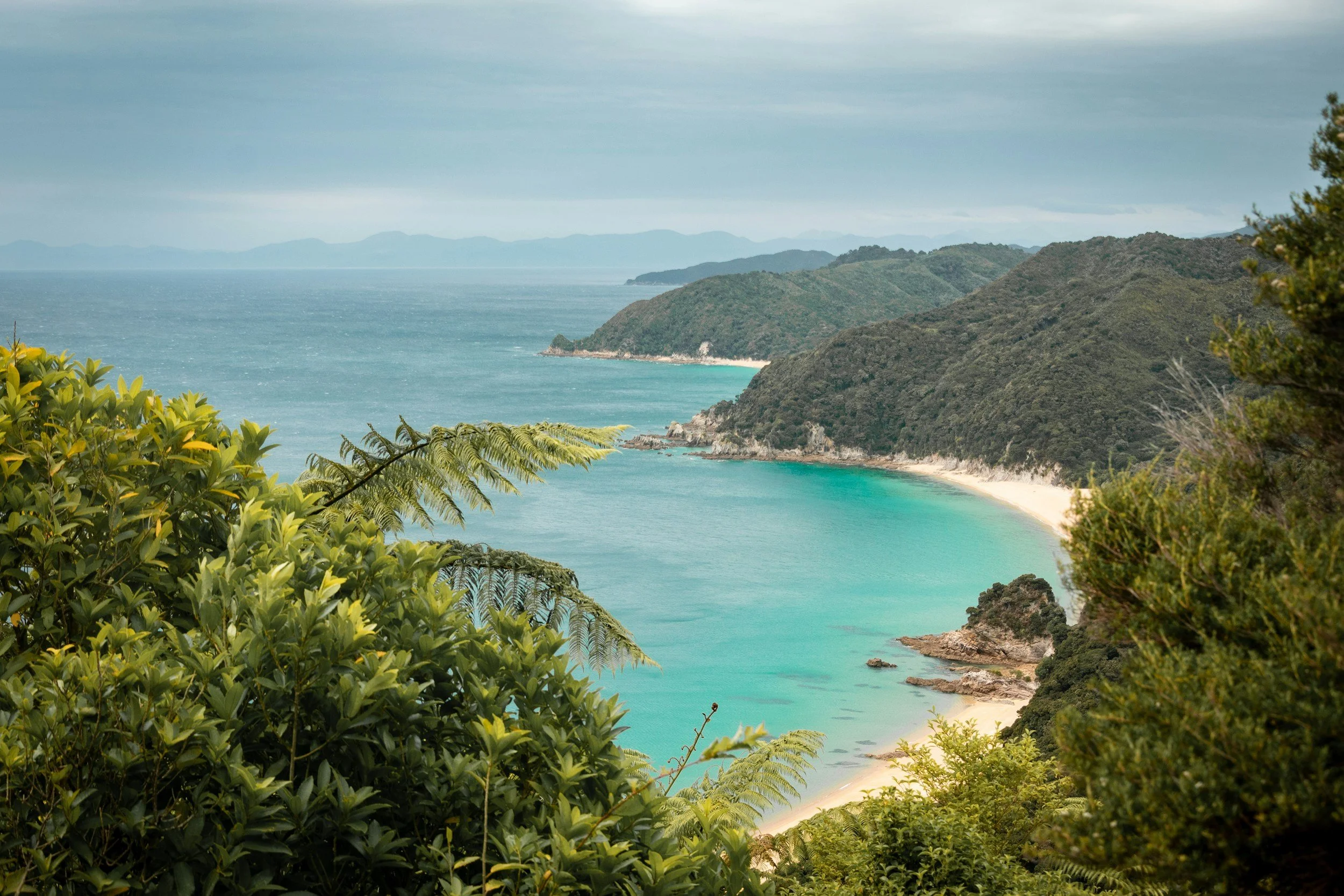 a landscape photo of the coast in Abel Tasman National Park within New Zealand