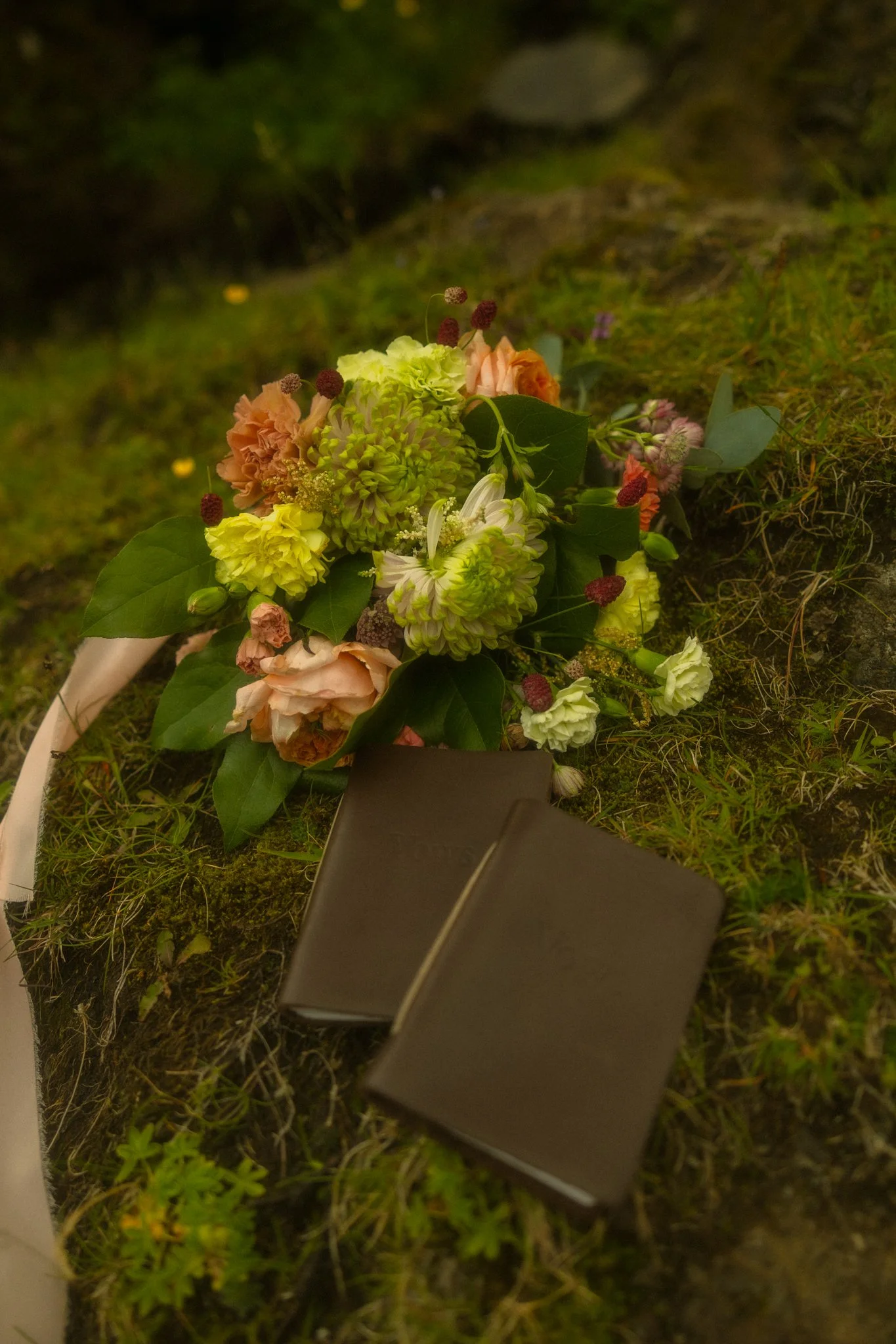  a couple eloping along the south shore of Iceland 