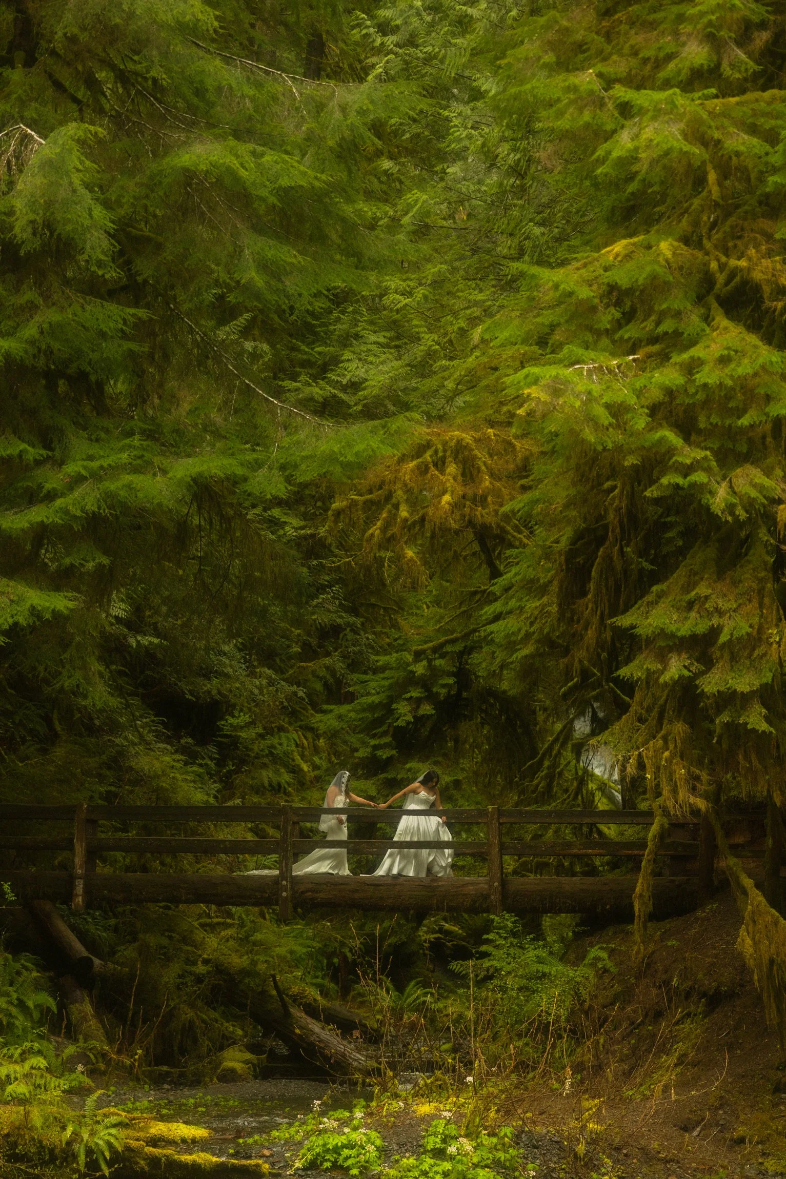 Olympic-National-Park-Elopement.jpg