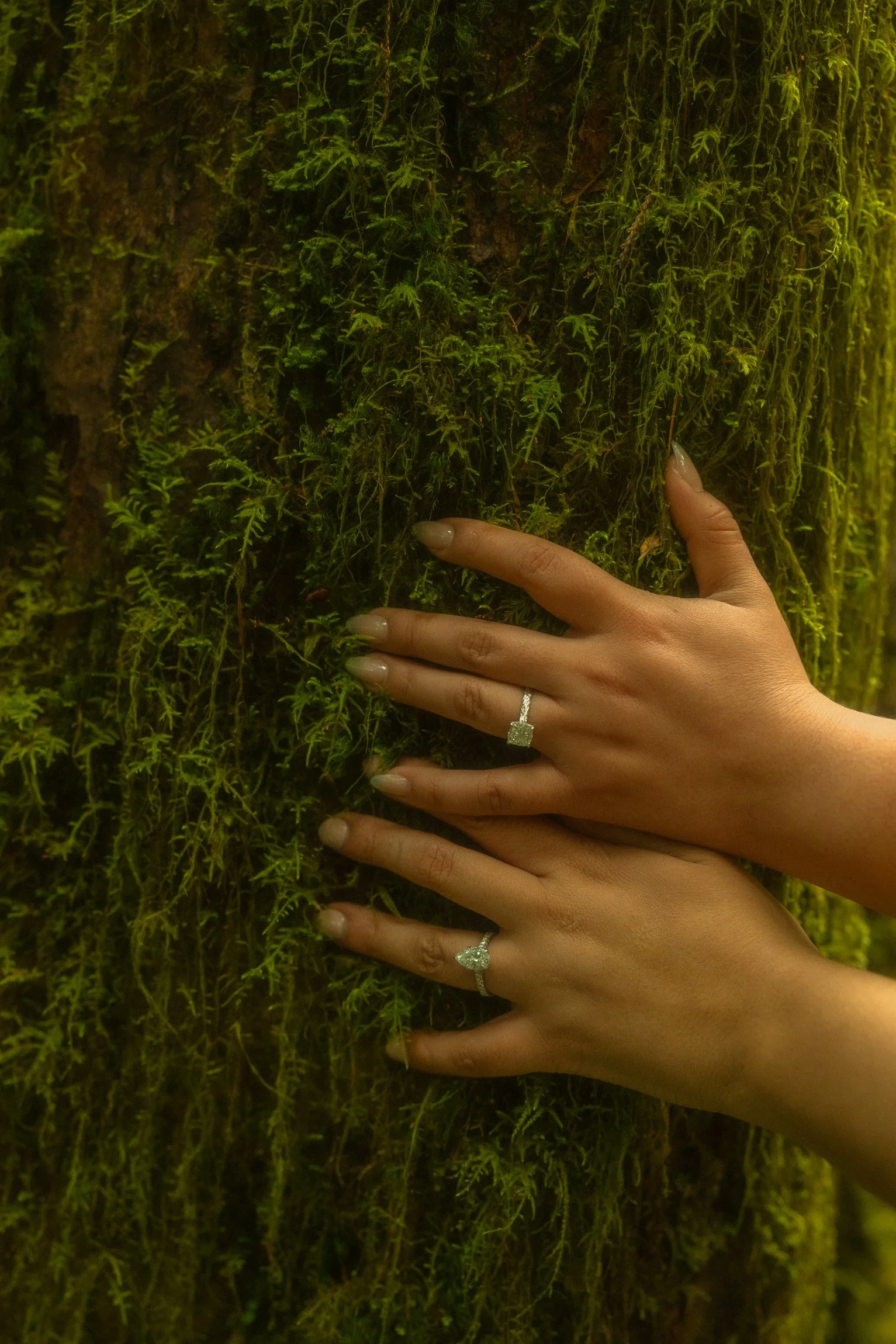 Olympic-National-Park-Elopement.jpg