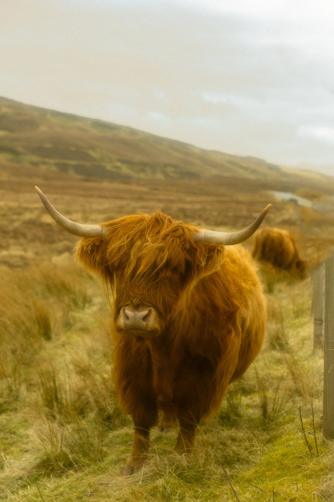 Isle-of-Skye-Scotland-Elopement.jpg