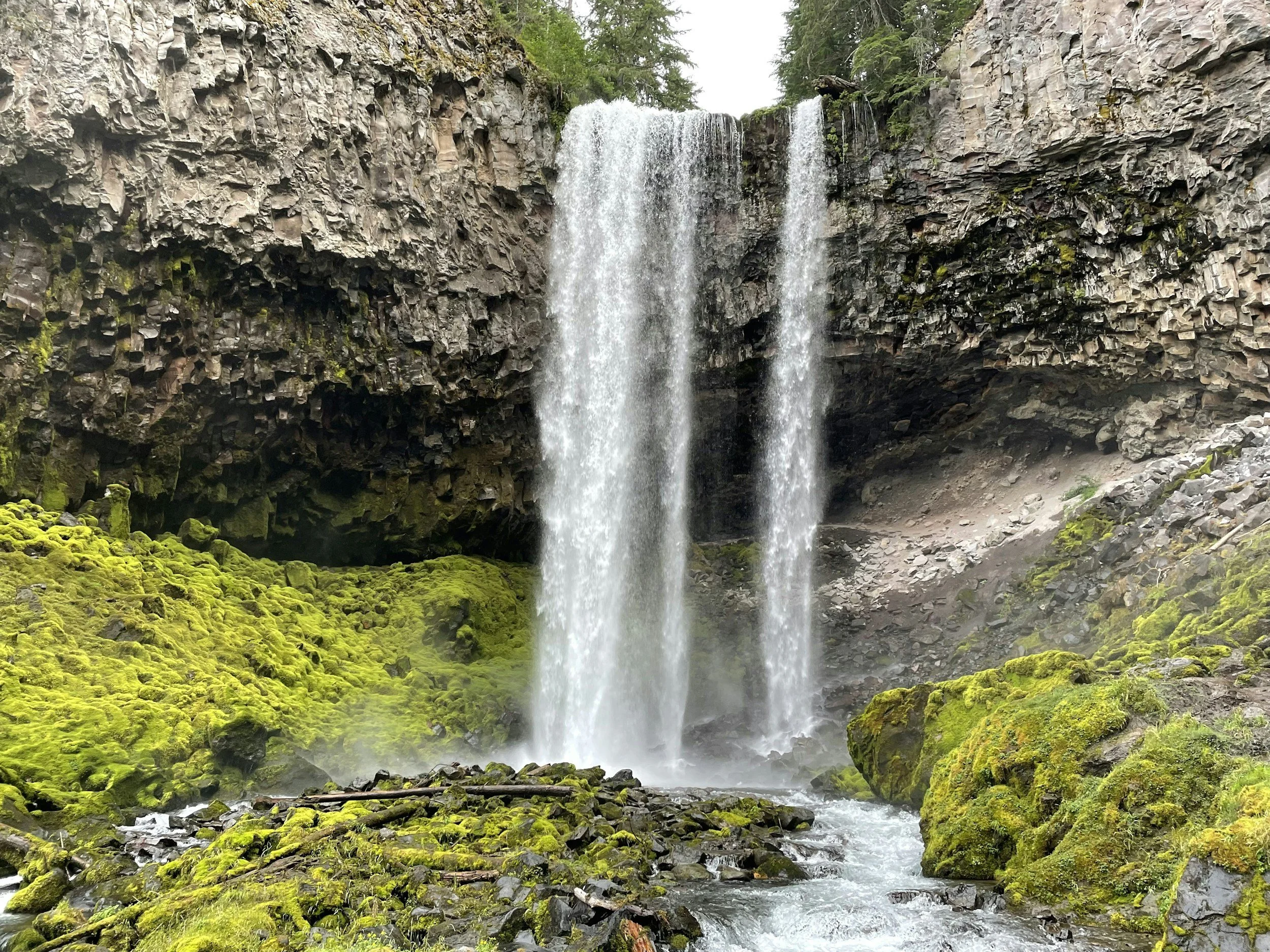 a waterfall in Mt Hood National Forest