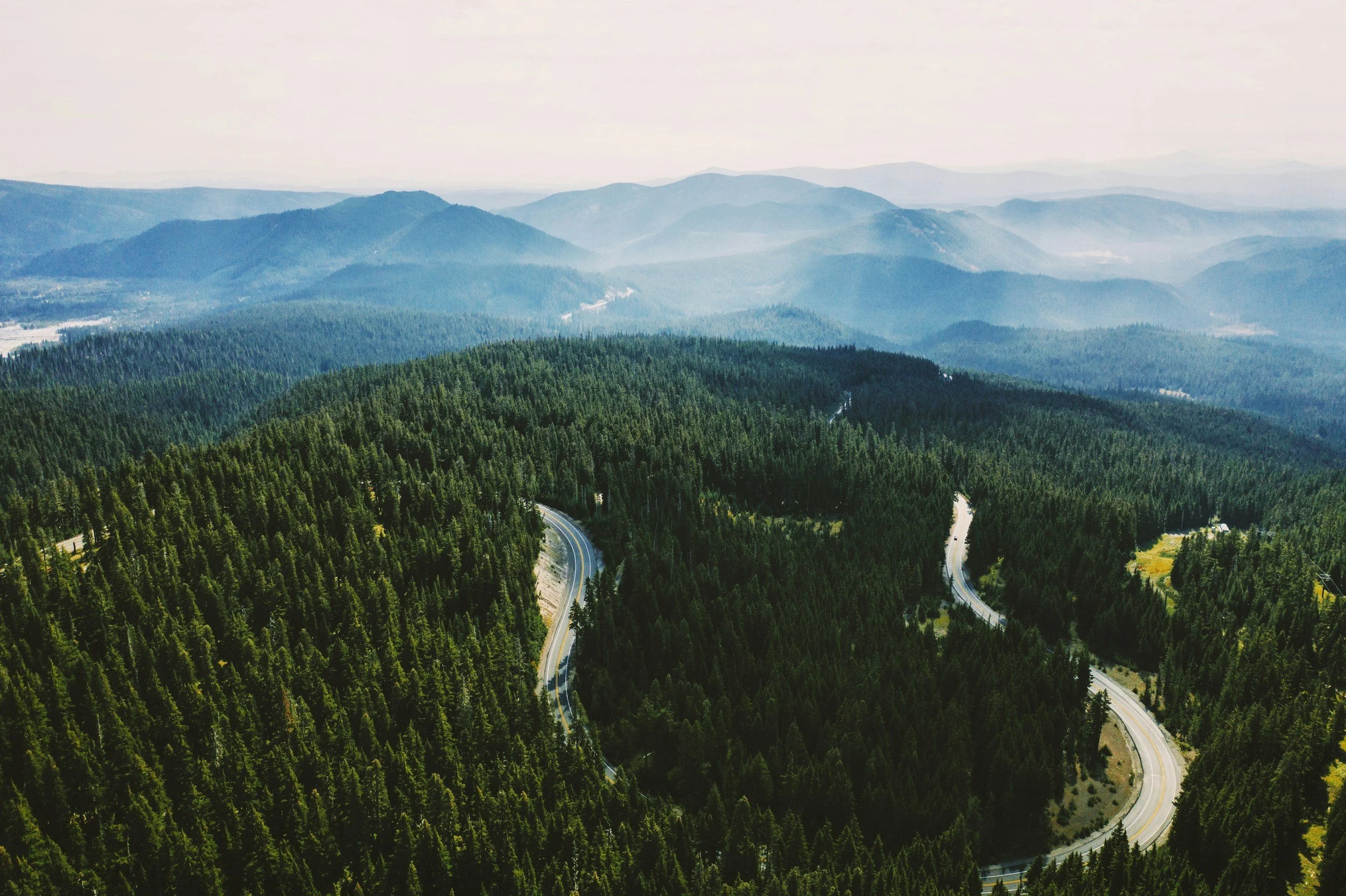 an aerial shot of Mt Hood Forest