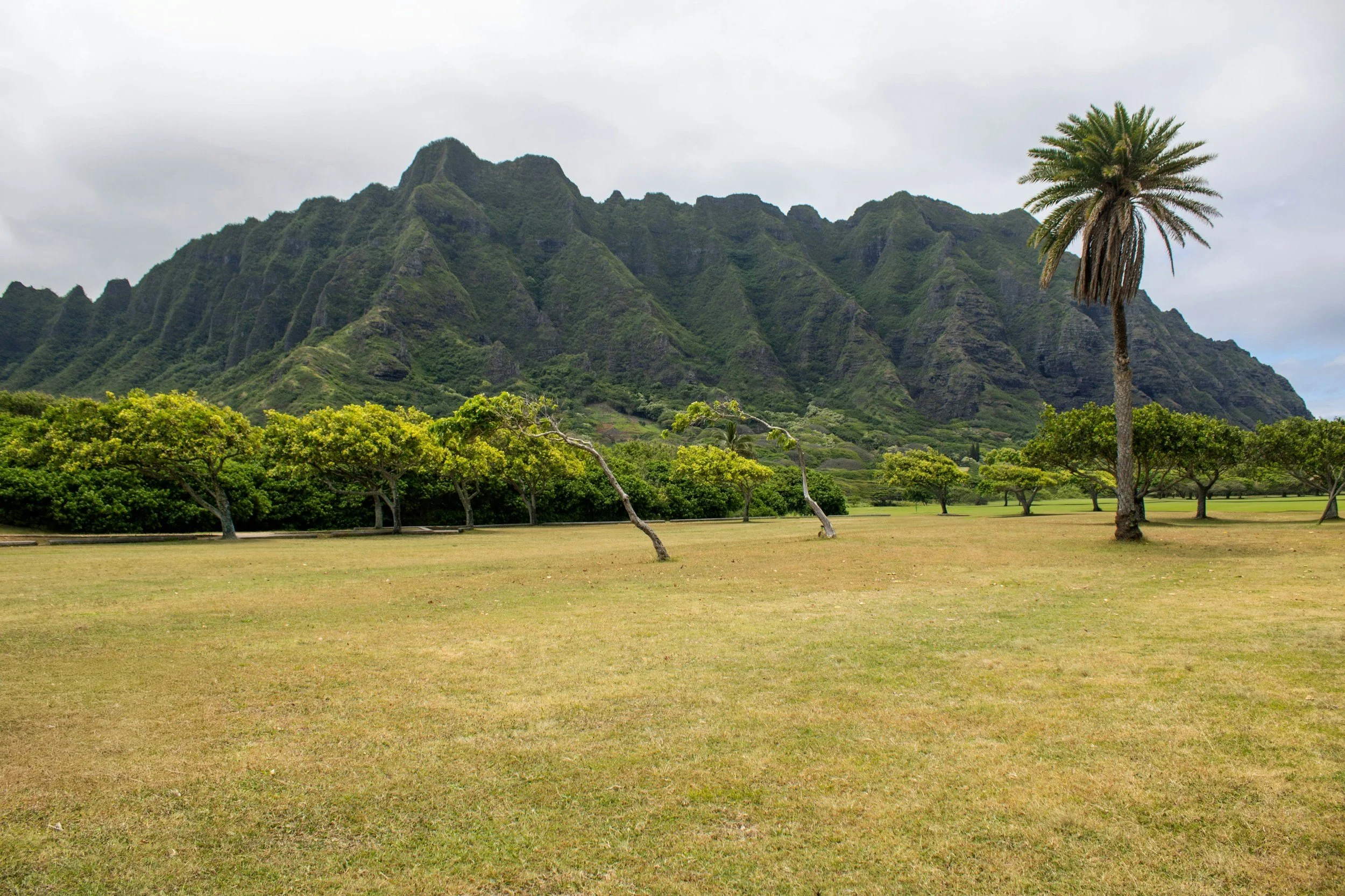the field at Kualoa Regional Park on Oahu
